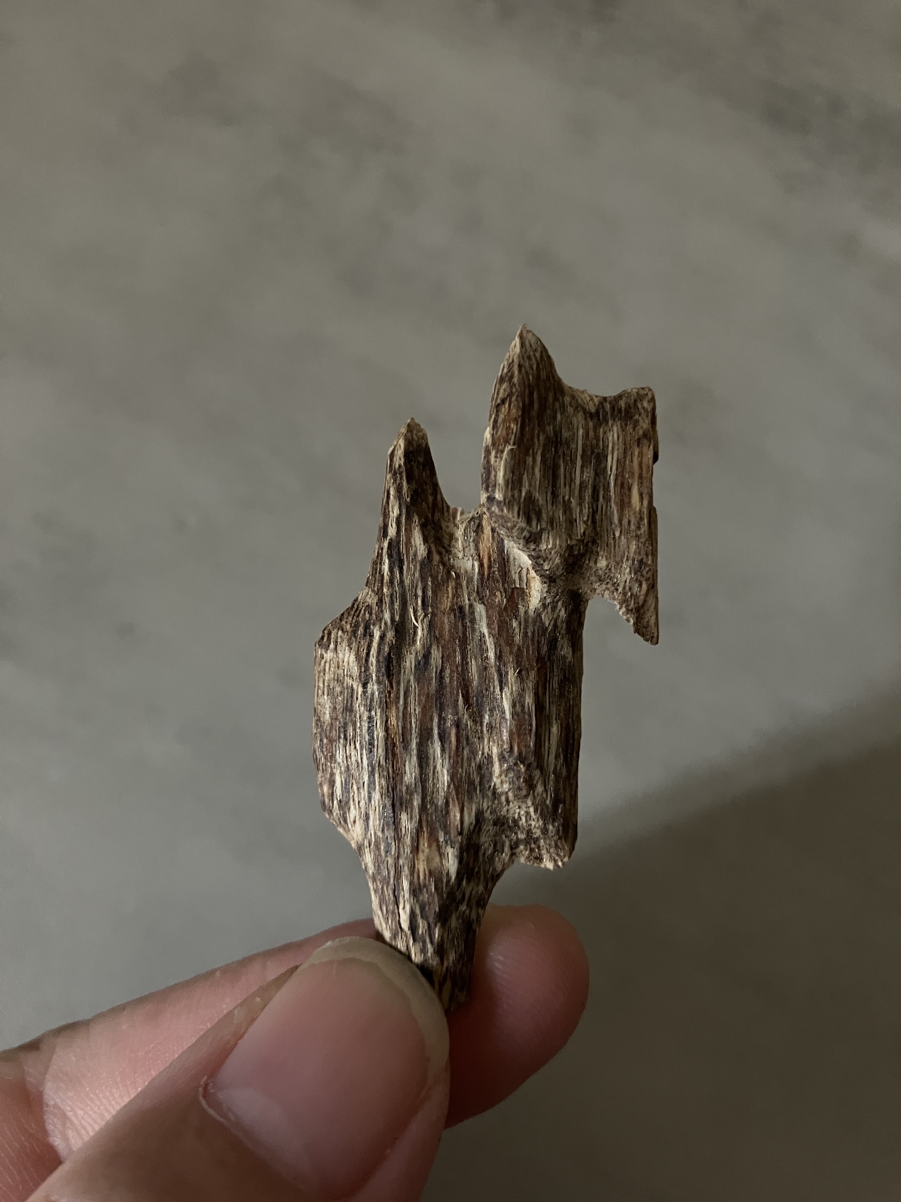 image_38E60422-58BA-4689-8512-C6444C041B2F_1761030713