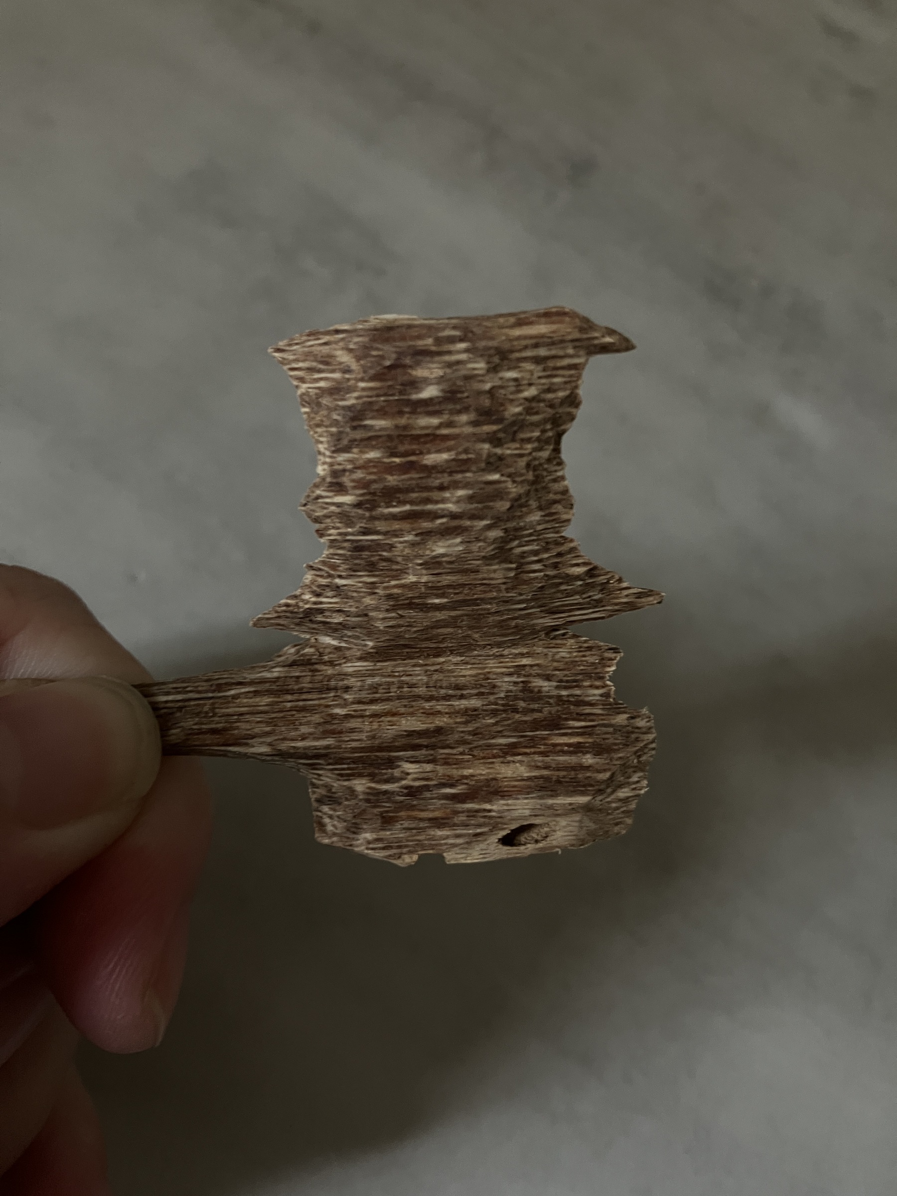 image_C6727344-BD79-4F83-BC5D-D31BC88B6544_1761030713