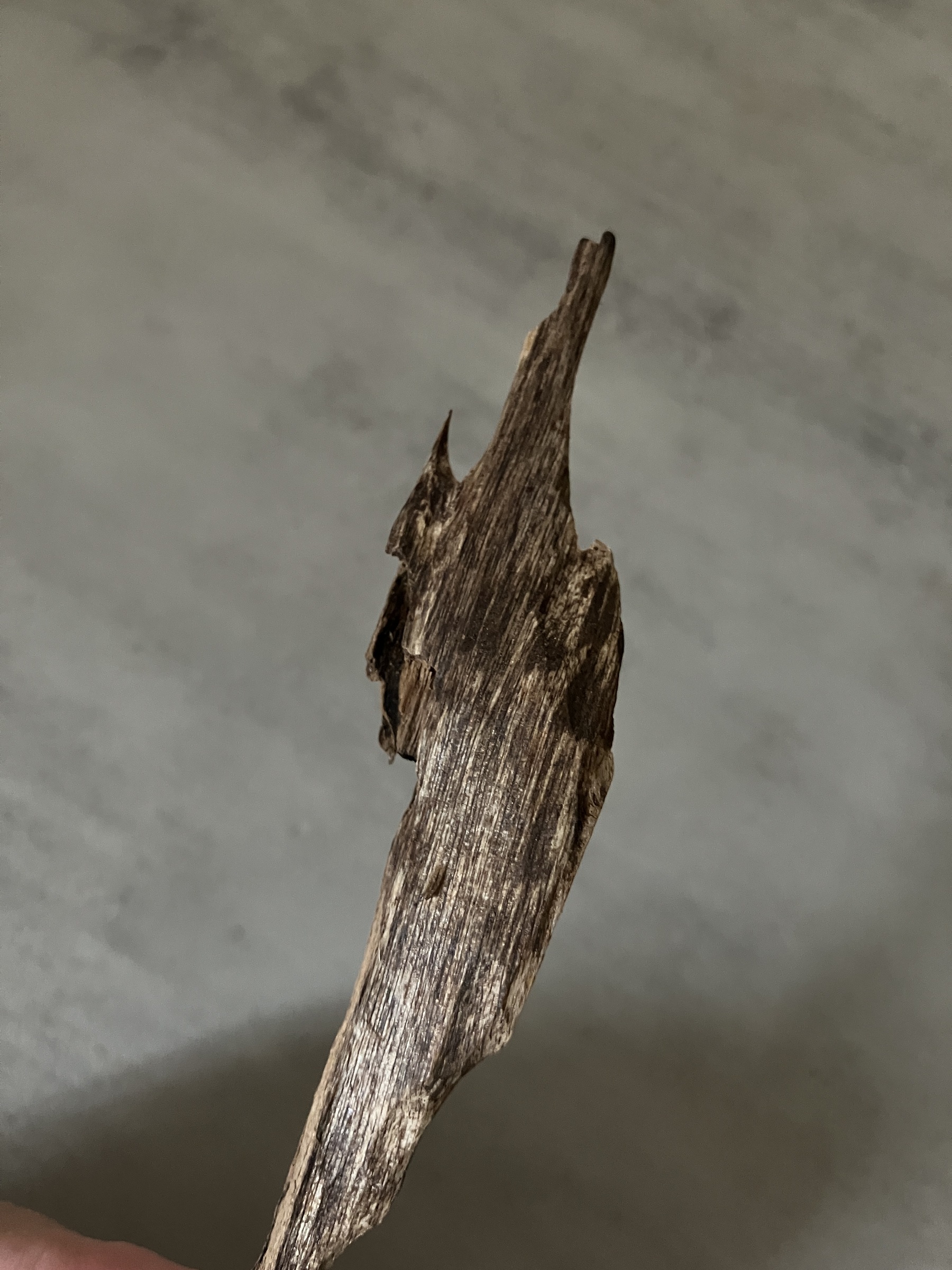 image_2BAD4600-35FE-4DA8-BEF7-8A4F1387A476_1761030713