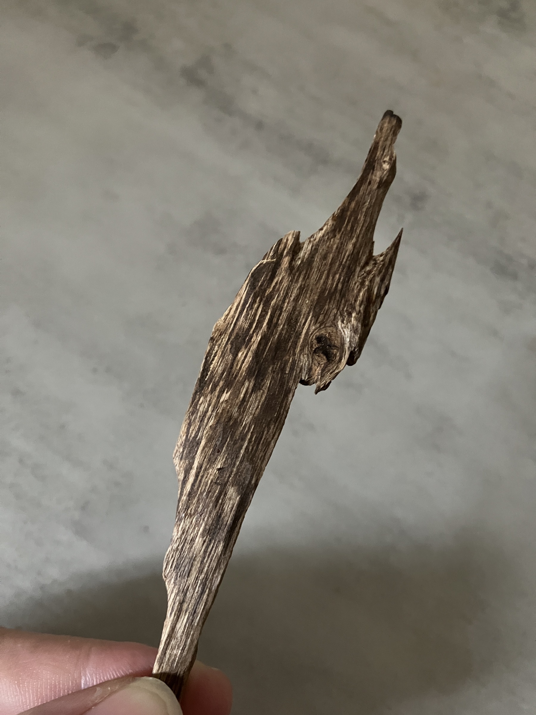 image_B5004CFB-4290-489A-9176-265C292D1E35_1761030713