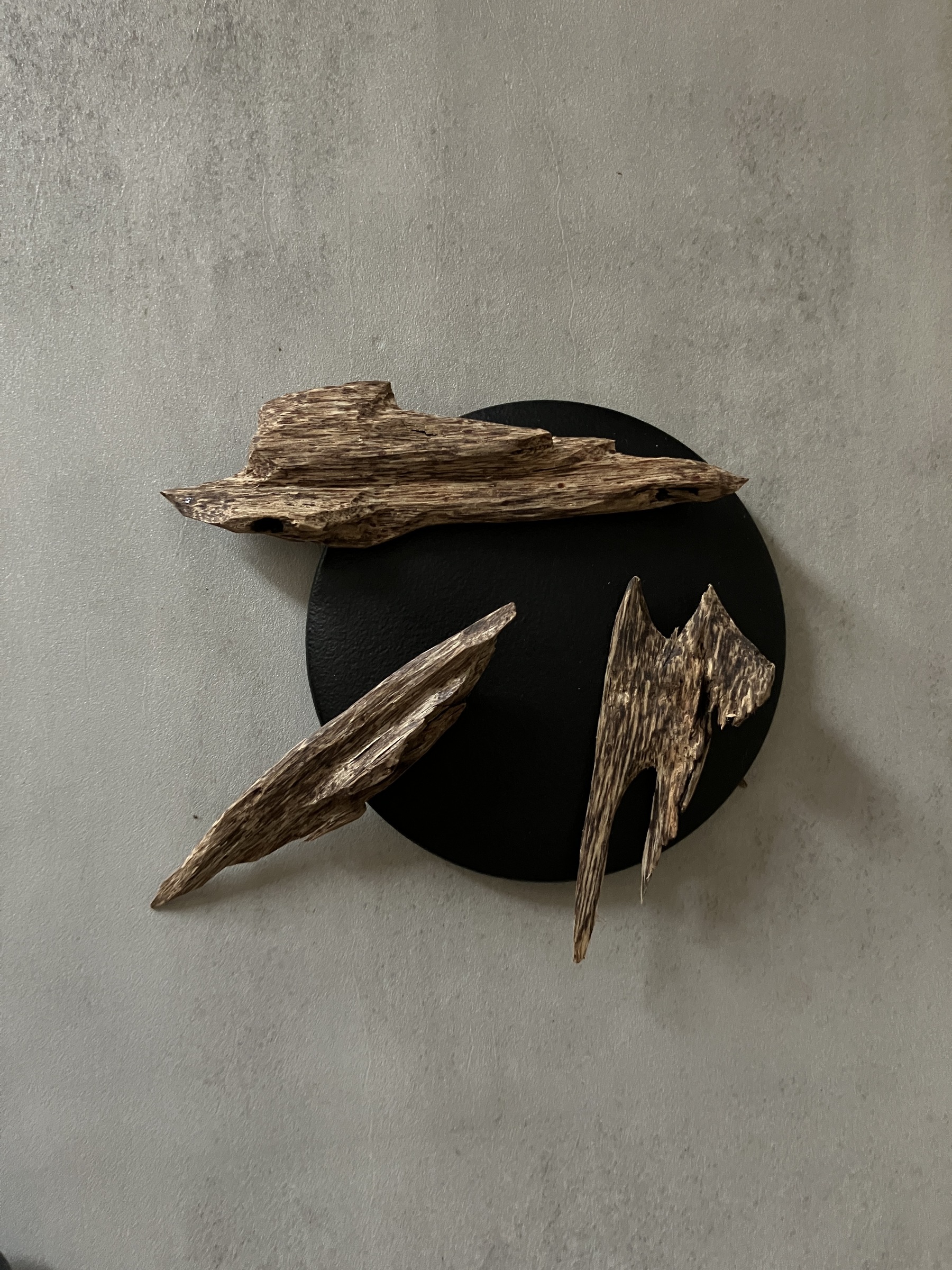 image_D26CC25F-3318-4E51-8CA9-62660496C947_1761030802