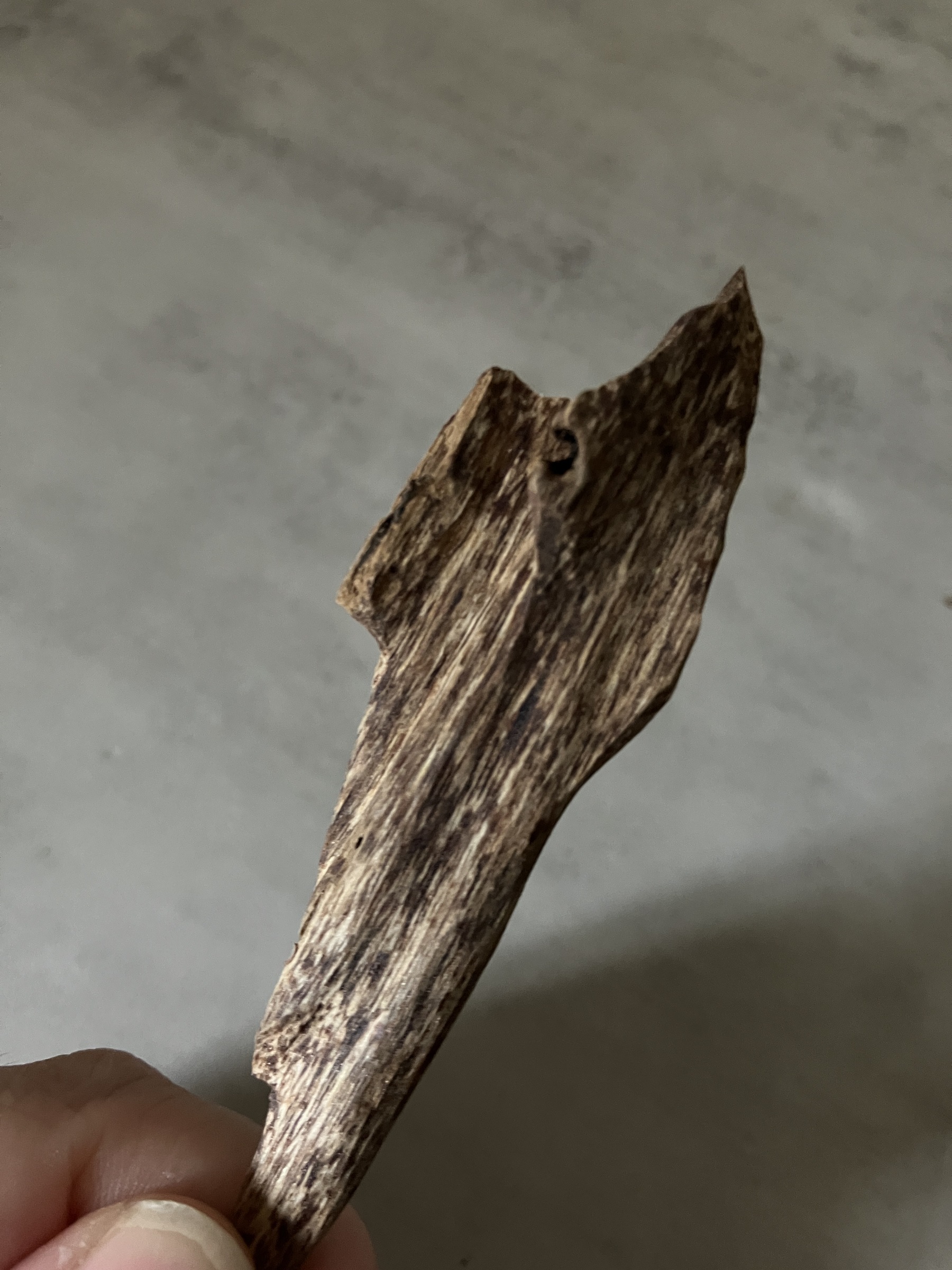 image_891ED1D8-E8C5-46ED-BC23-5A0FA644E7E9_1761030802