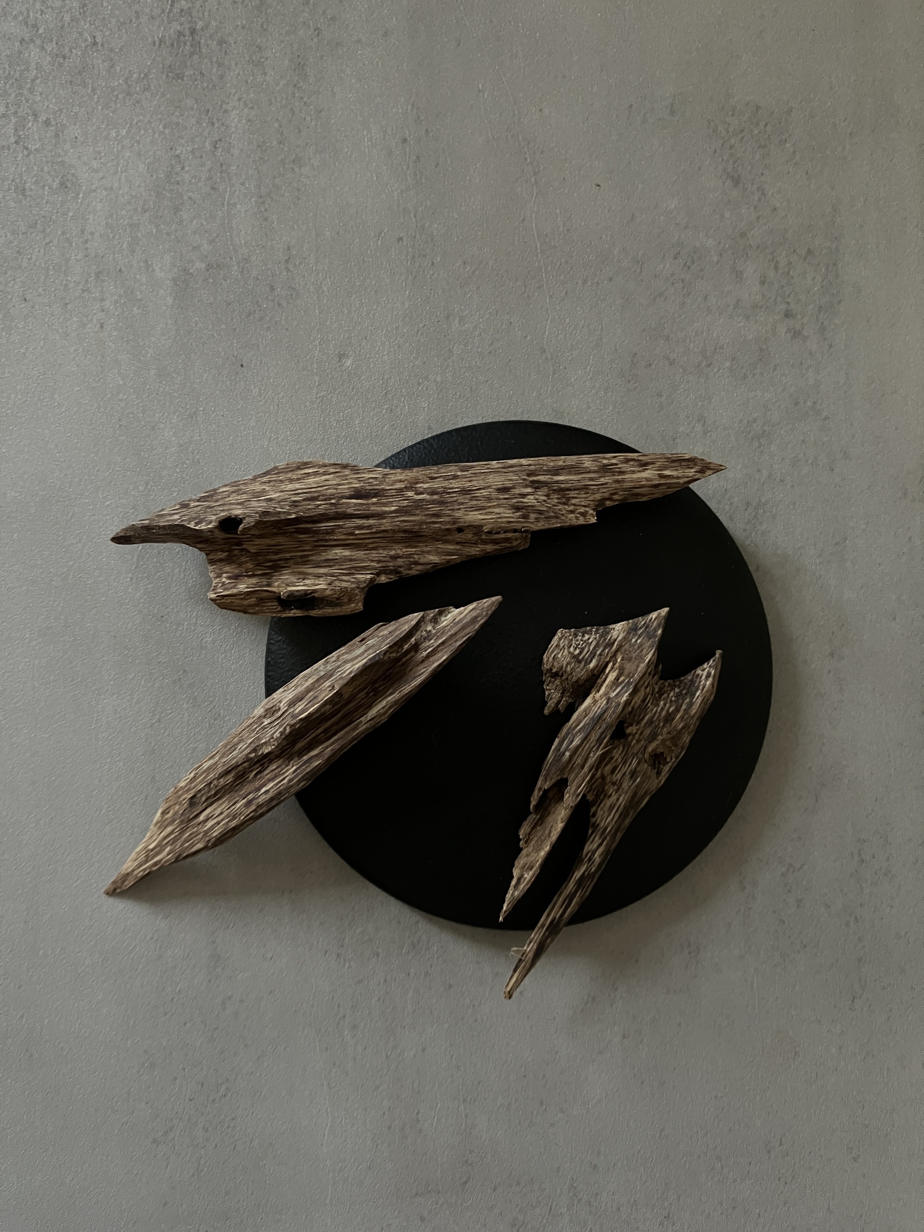 image_0A2A9DE0-9E06-4309-8692-58E016E089E6_1761030802