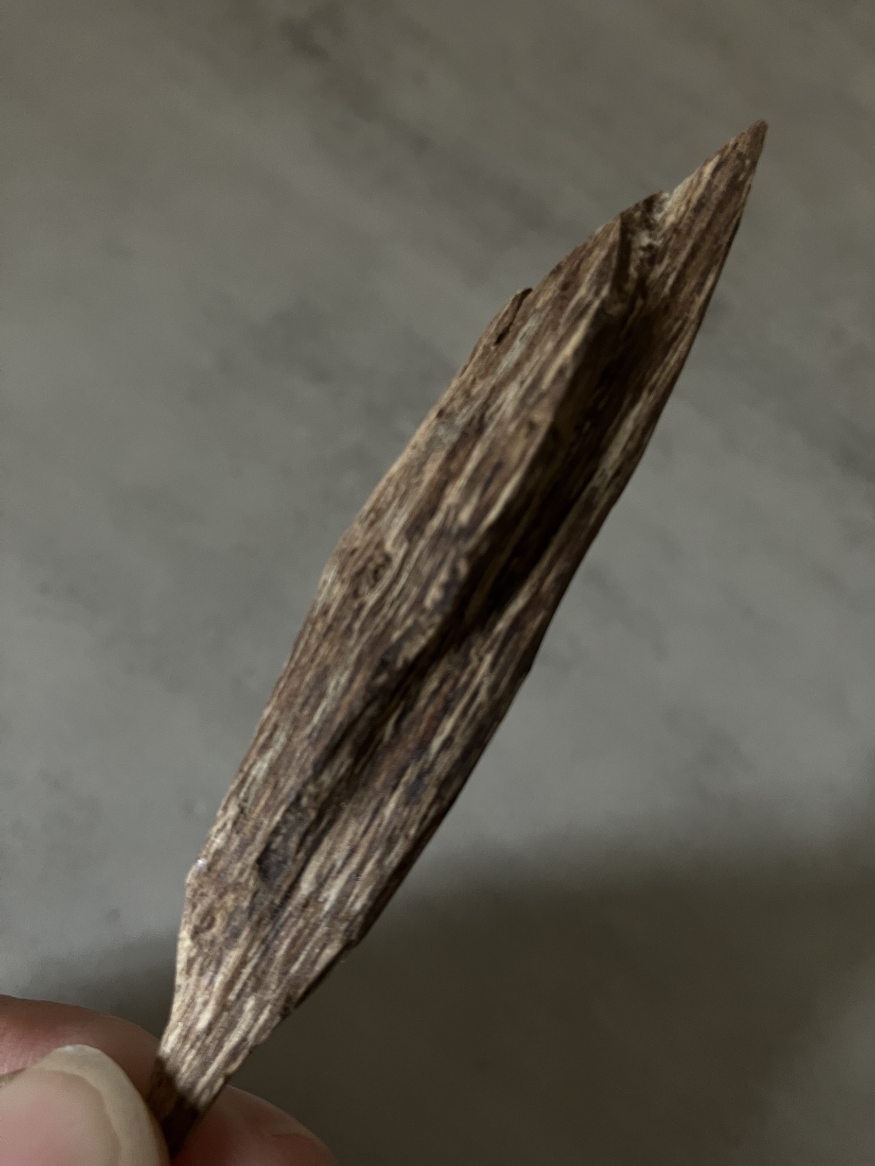 image_DD574791-9C40-425B-91B8-94E23C0D9225_1761030802