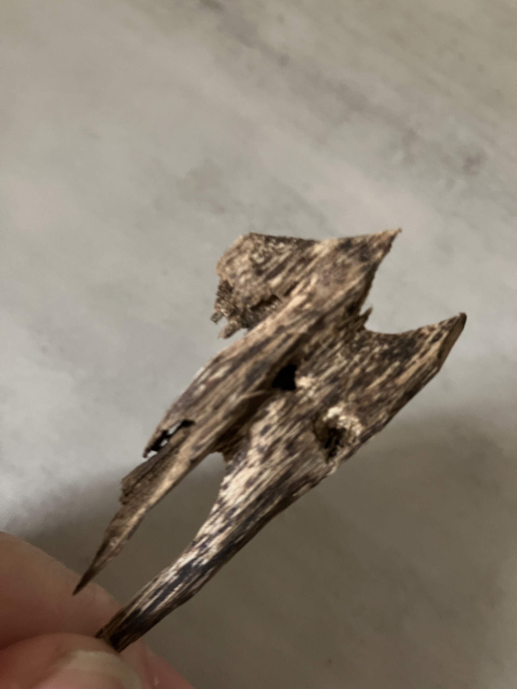 image_F57D40BE-D0DA-4ED4-AC23-42C559B67332_1761030802