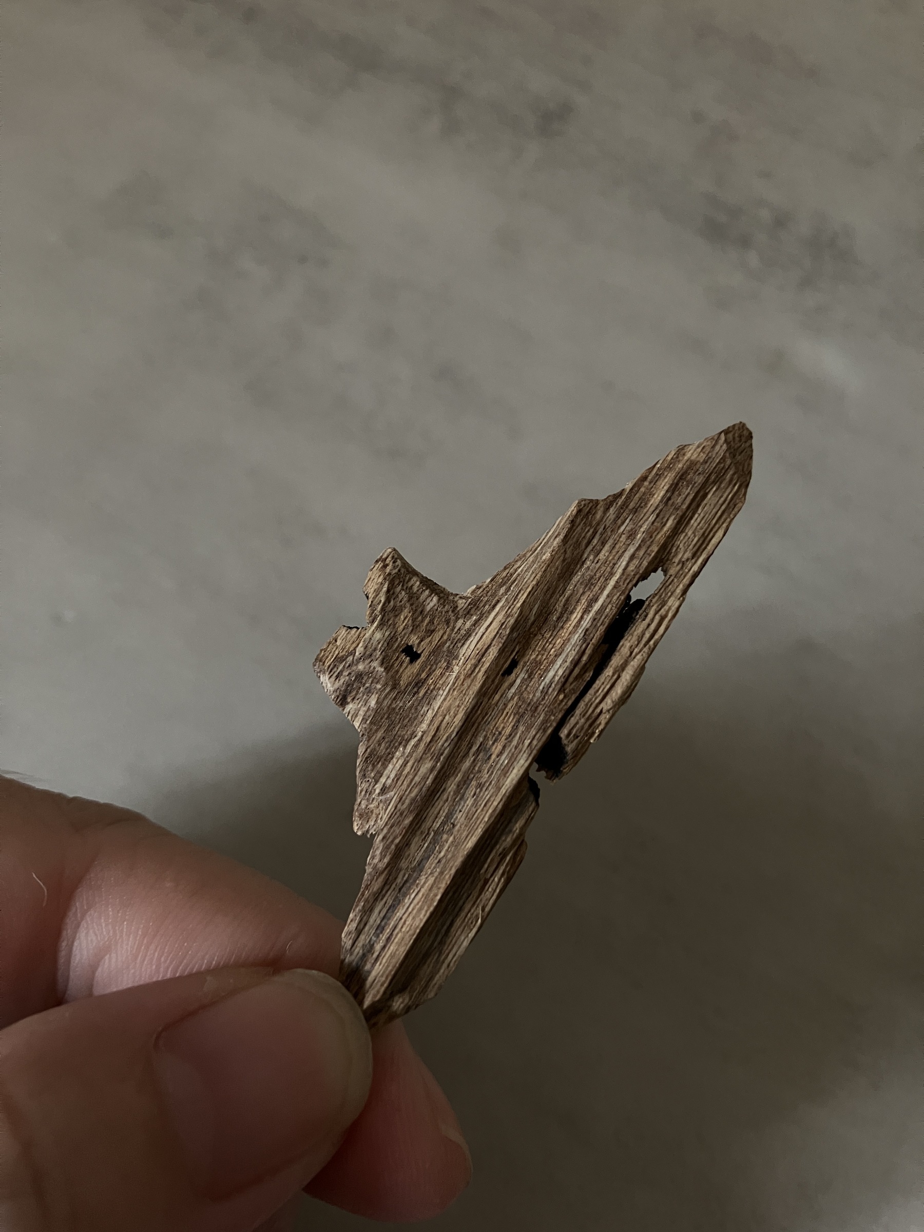 image_DF6A4D53-5484-43CB-AD86-BE86349B2308_1761030884