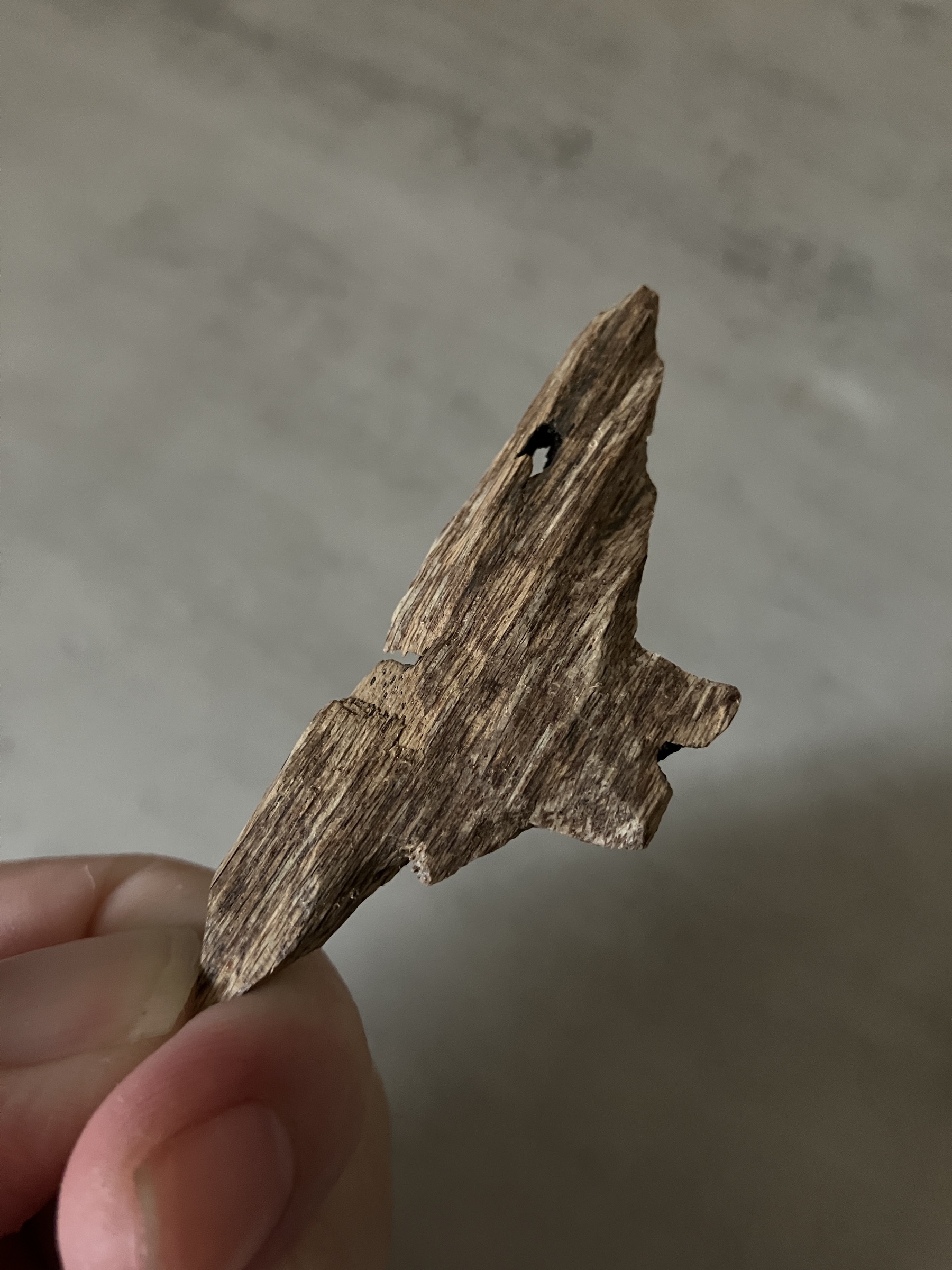 image_AFFF9CAE-5DCC-4DD4-8803-C1423DC3445A_1761030884