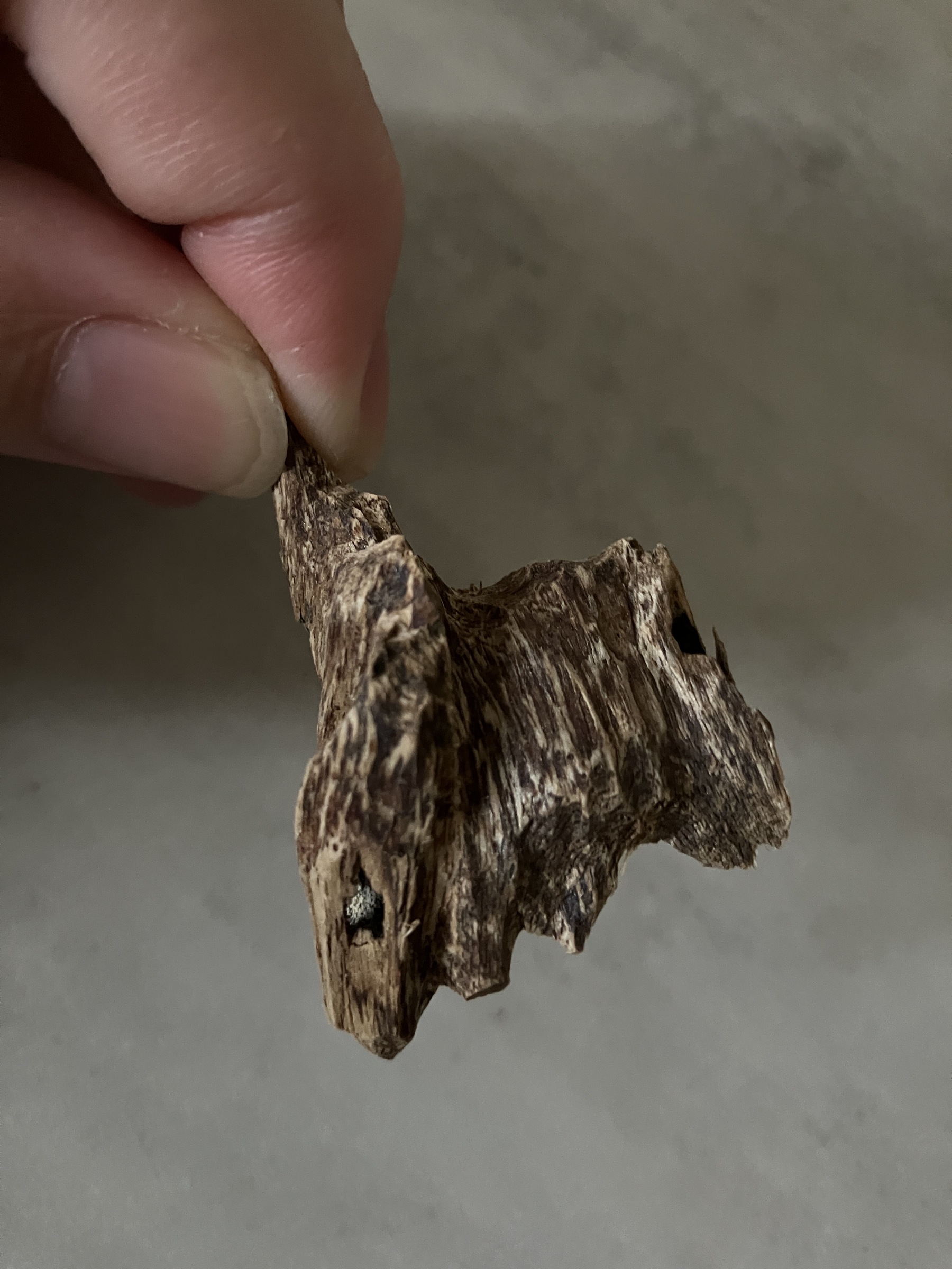 image_73B40E31-2B7E-43A4-A79A-CDD3DA0F81BA_1761030884