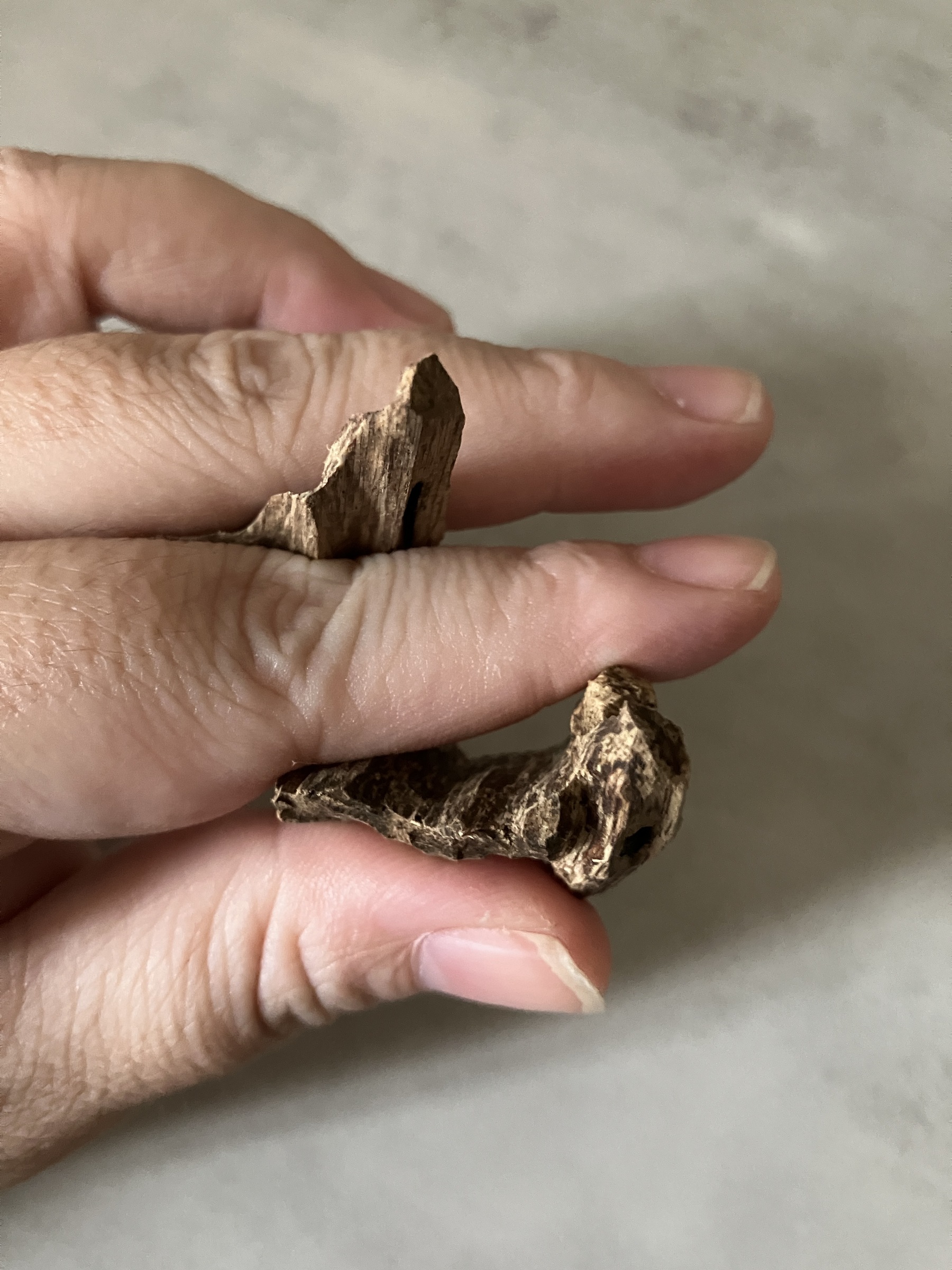 image_DFF66A60-59B2-4B68-AF80-5CA5A5EA9251_1761030884