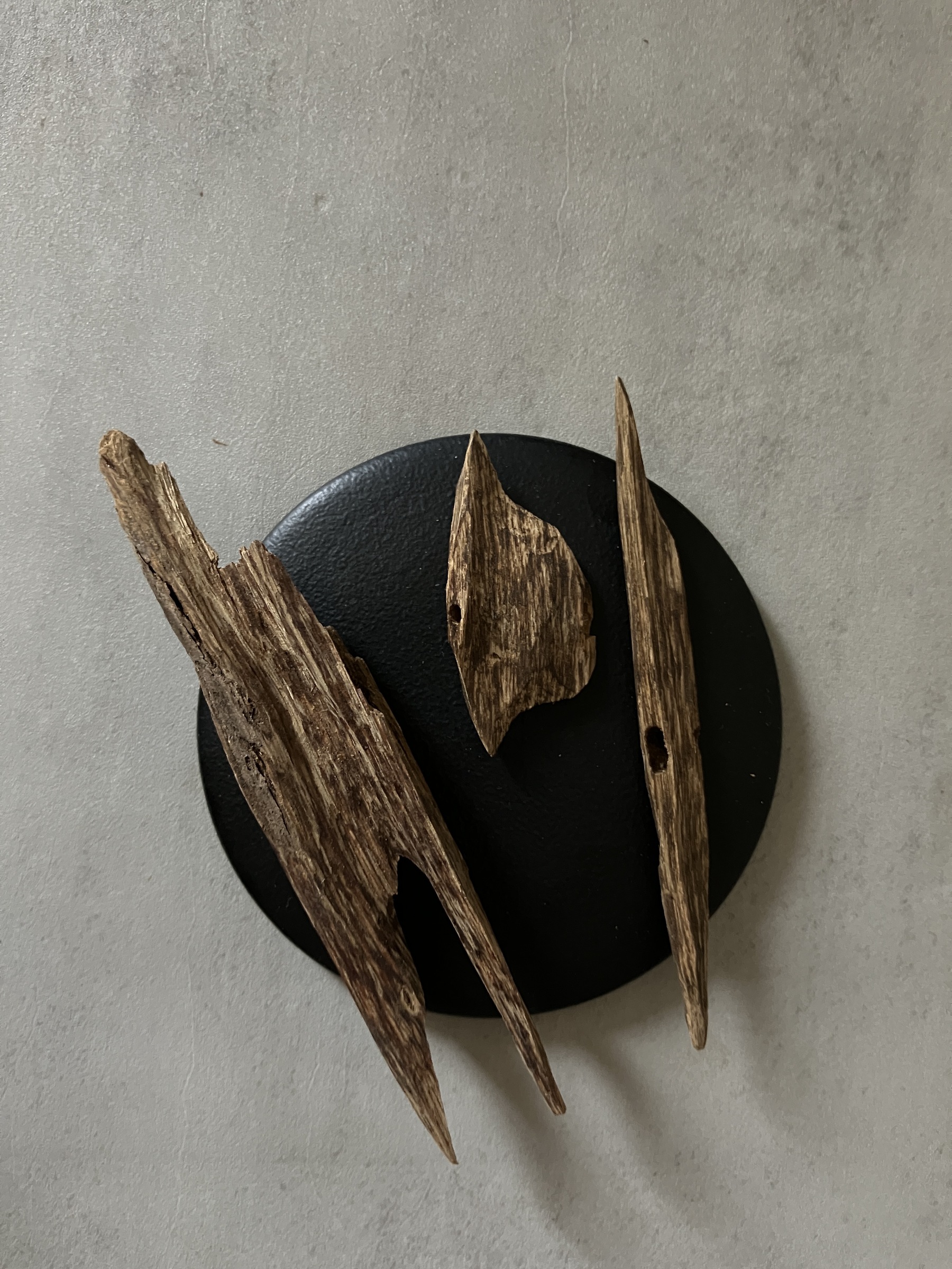 image_06A38415-0378-4E09-B407-4B8D1849741B_1761030980