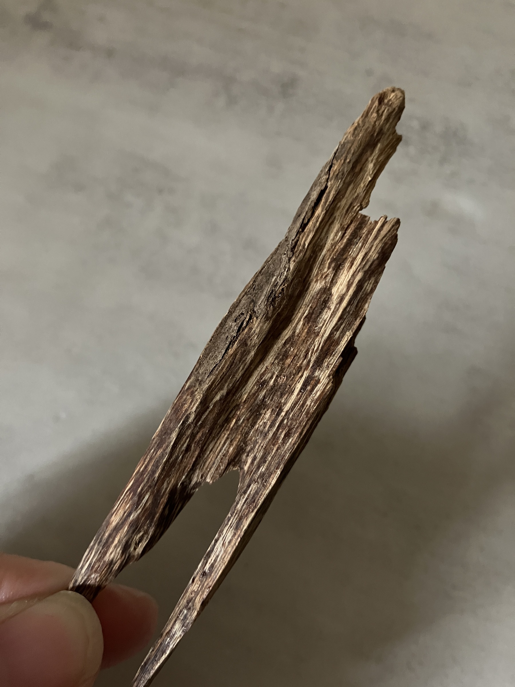 image_38A0E56C-E15C-4442-8F26-7EF2FF7E8E77_1761030980