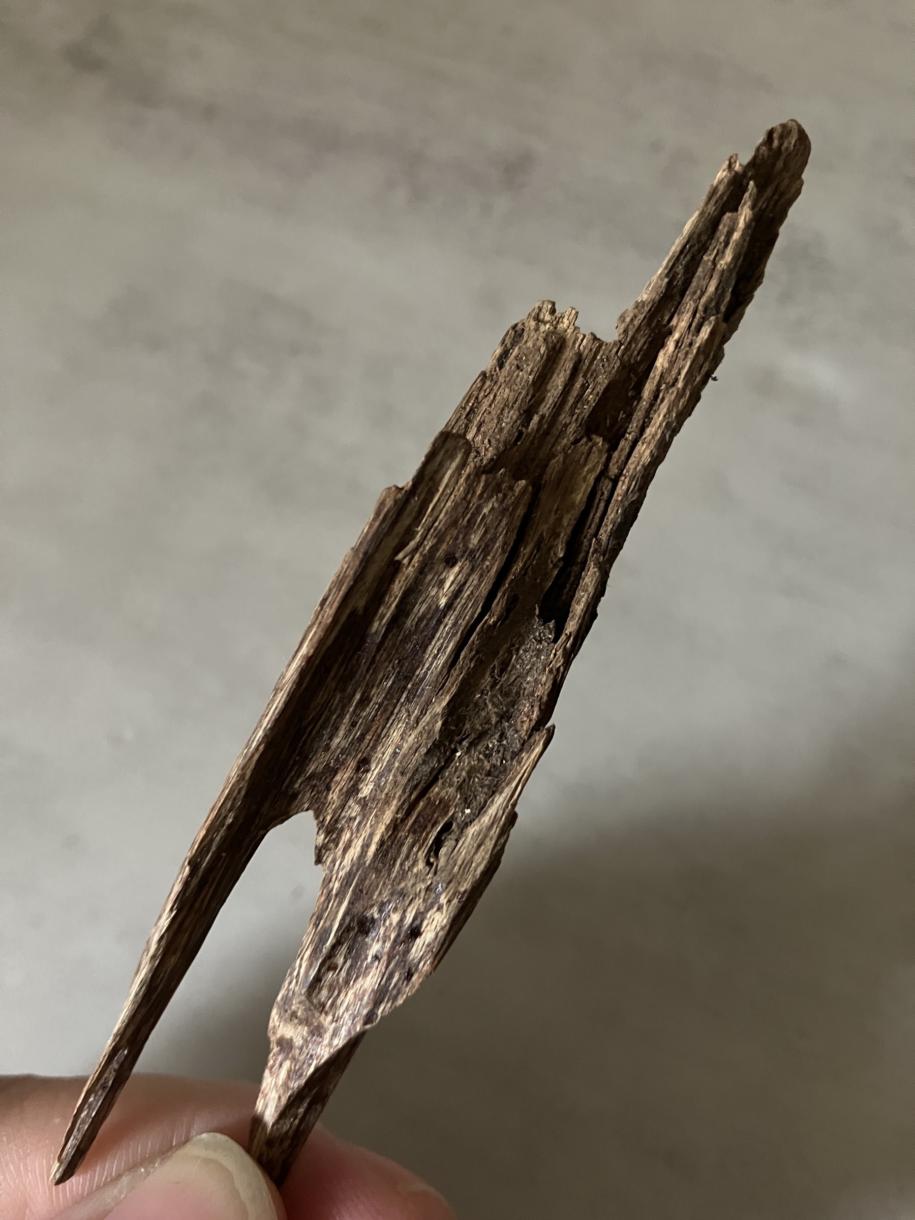 image_EFD67638-F10C-47A2-AFC8-4ACCEC3FFB8F_1761030980