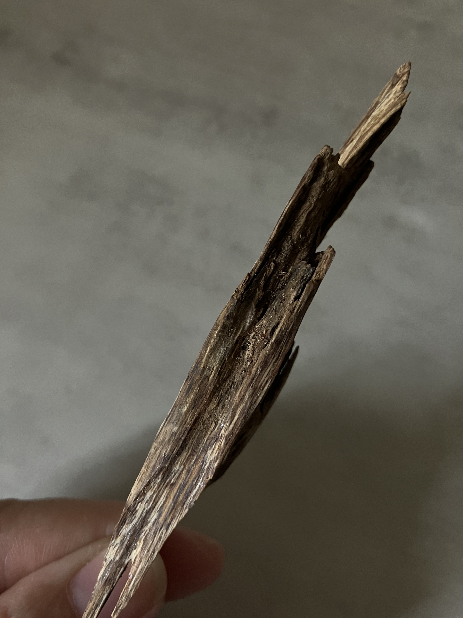 image_D9085A32-DE6C-48E4-BD56-41311F38E93A_1761030980