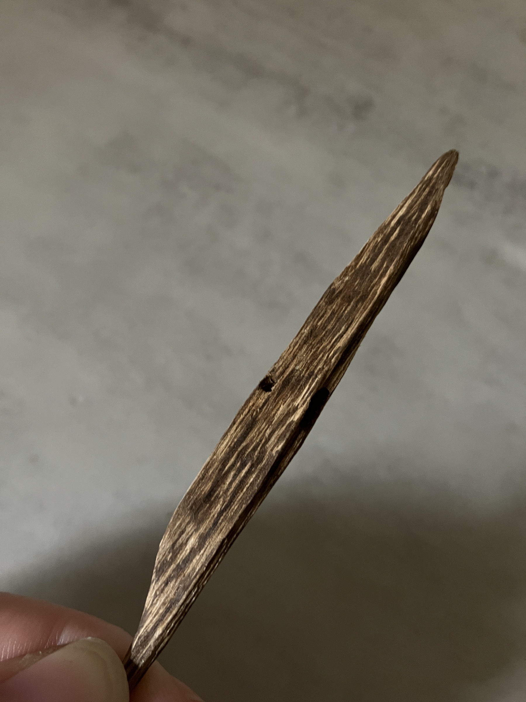 image_4BE3527D-6AF2-477A-B33F-6D5678DEF2E3_1761030980