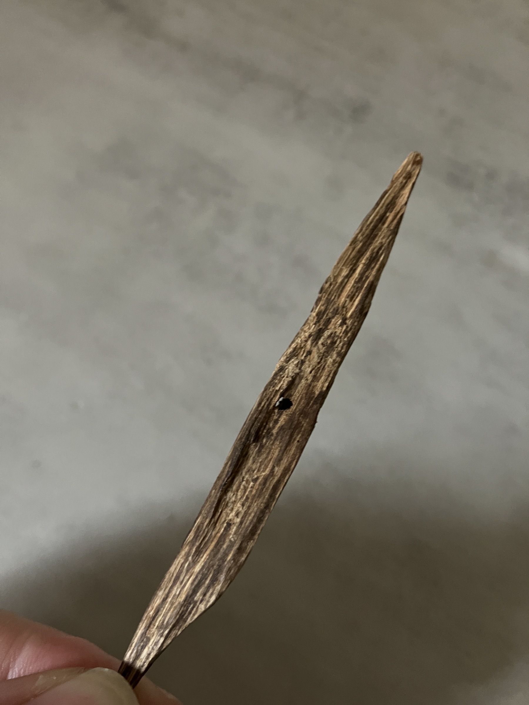 image_5FE9744F-5CC1-47DE-AA86-7EE26E004A62_1761030980