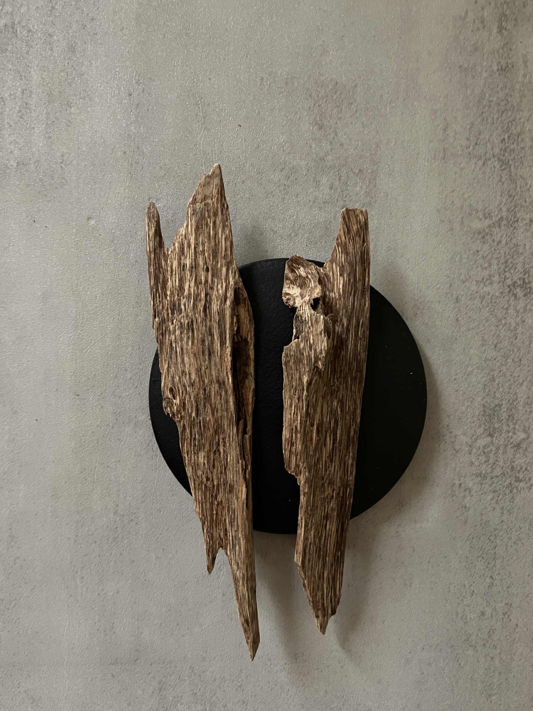 image_927DDA23-27B7-41B0-A53B-AA84C77C0B7F_1761031124