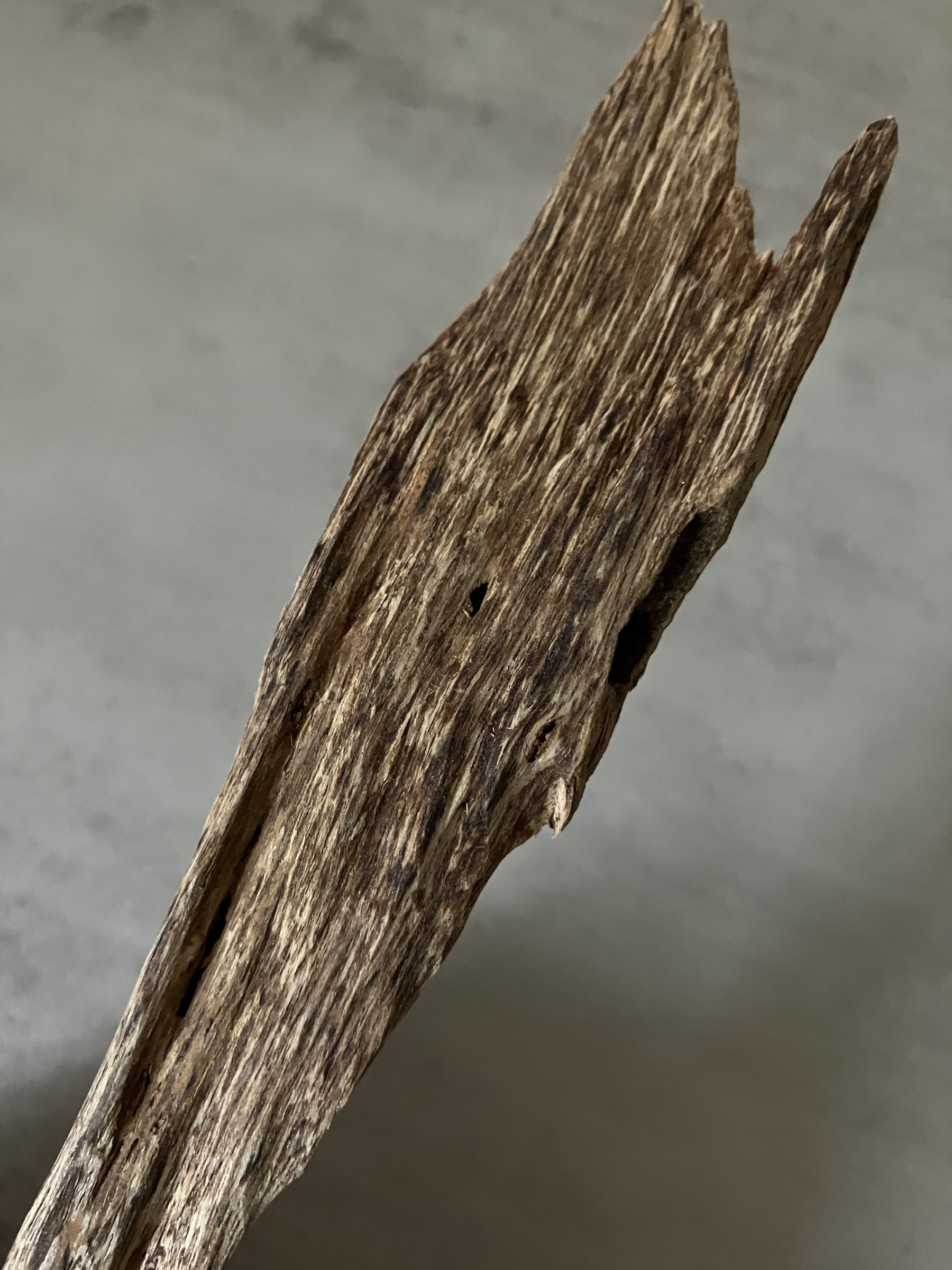 image_720B070D-DE70-40F2-B00D-FD318226BE60_1761031124