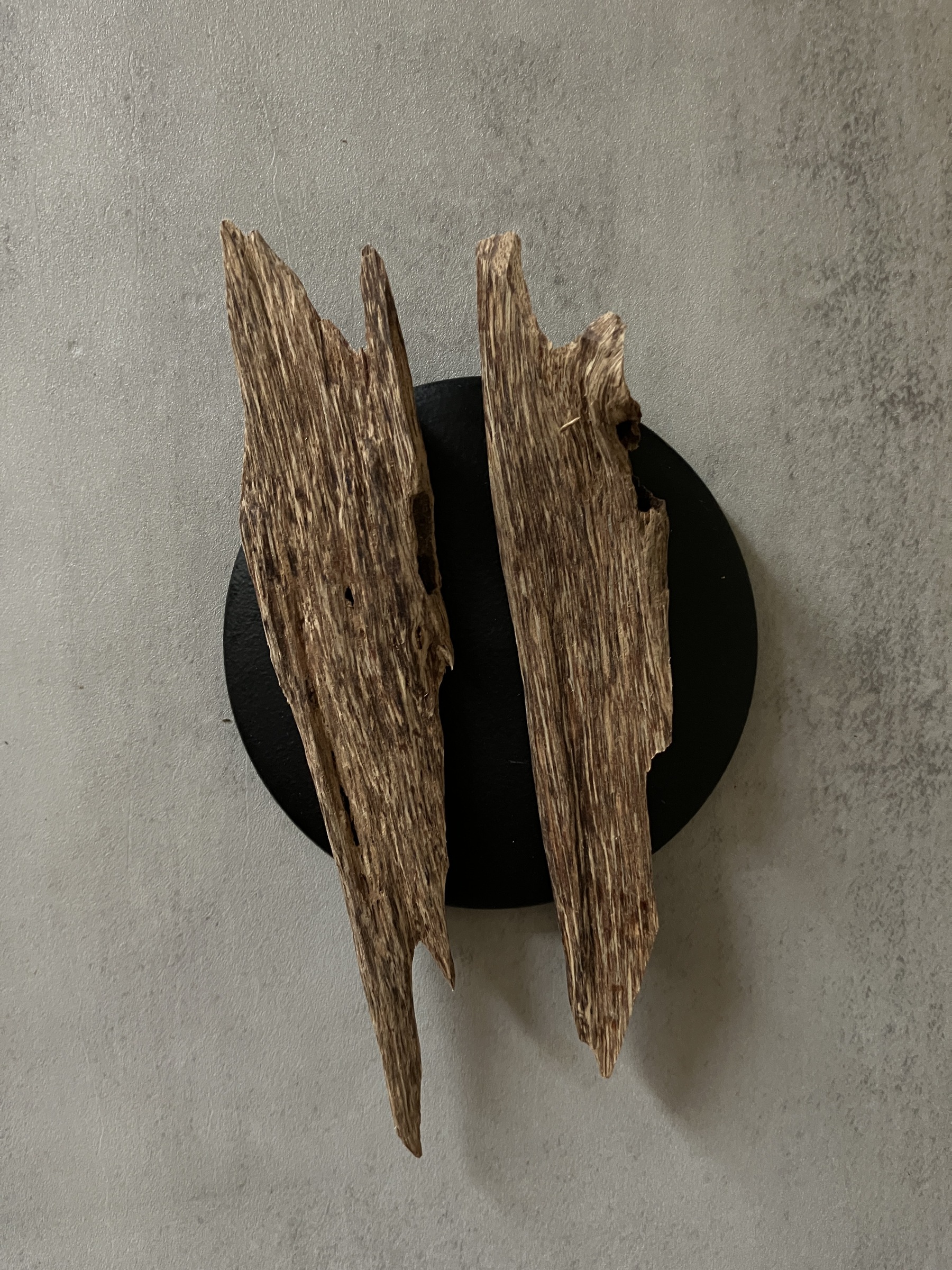 image_43B1B16C-F91B-4535-B7A6-B0A0049007C7_1761031124