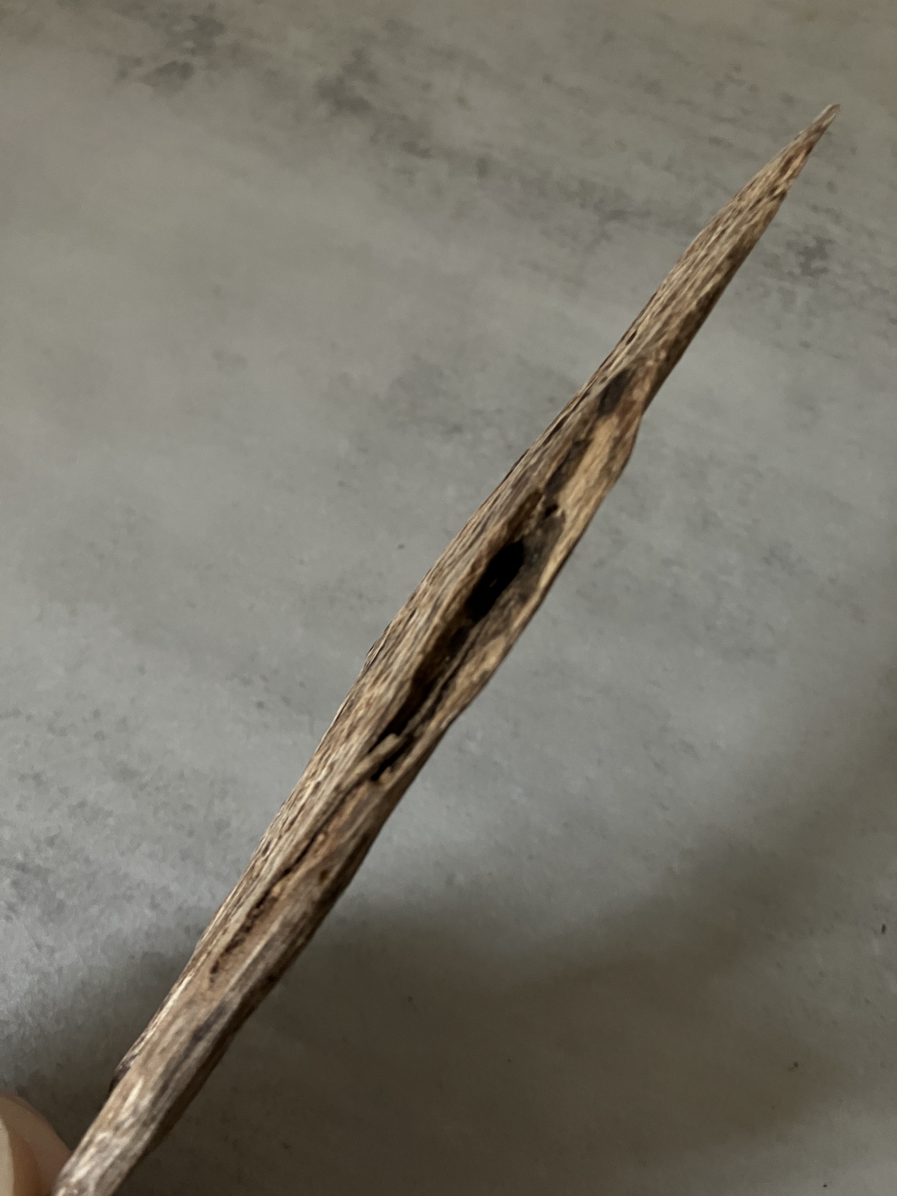 image_B3FDBEA2-19BE-4360-B8E9-B5AEB2E2748B_1761031124