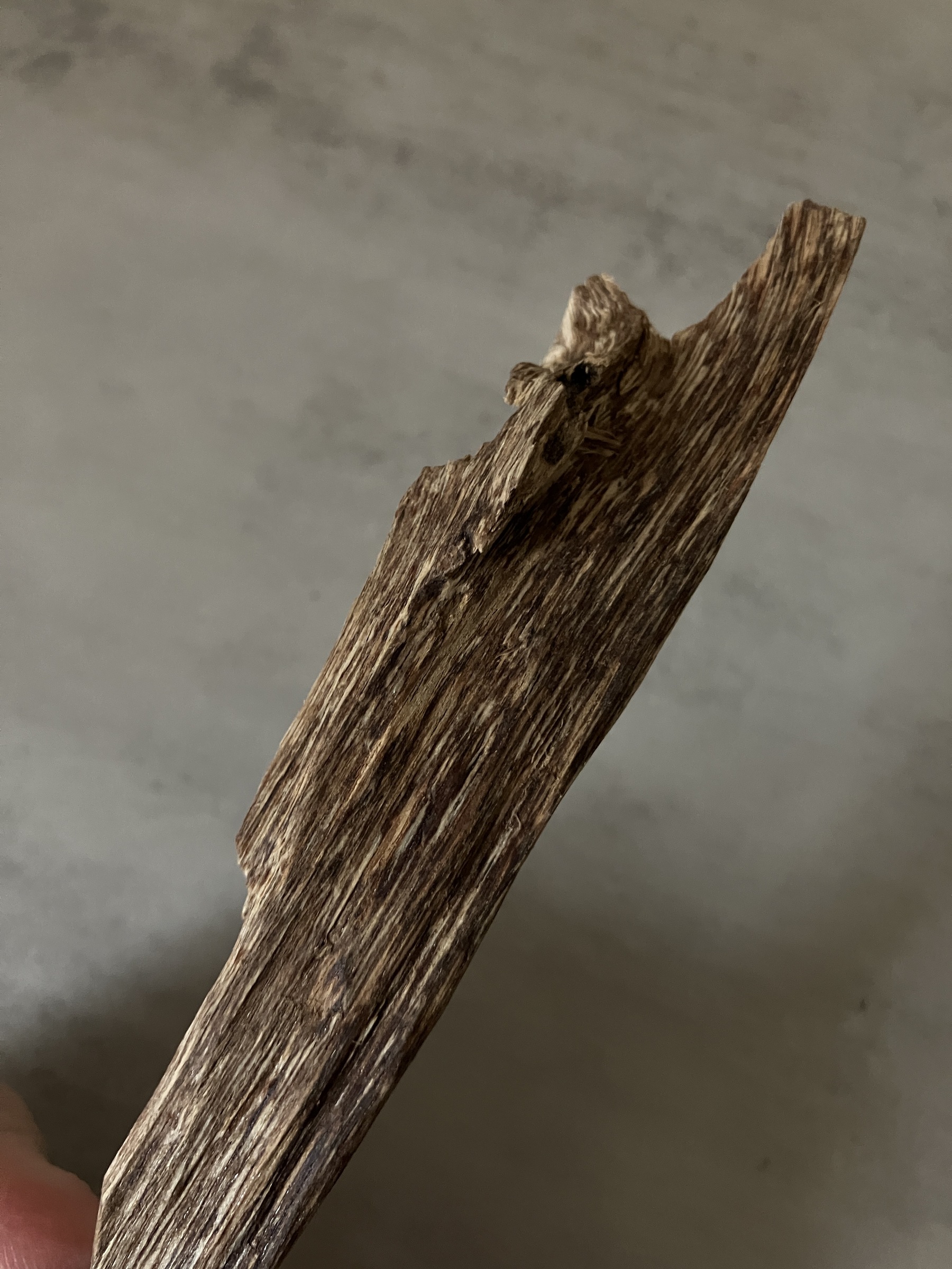 image_BB67C60C-C761-4570-95B1-6967F757C847_1761031124