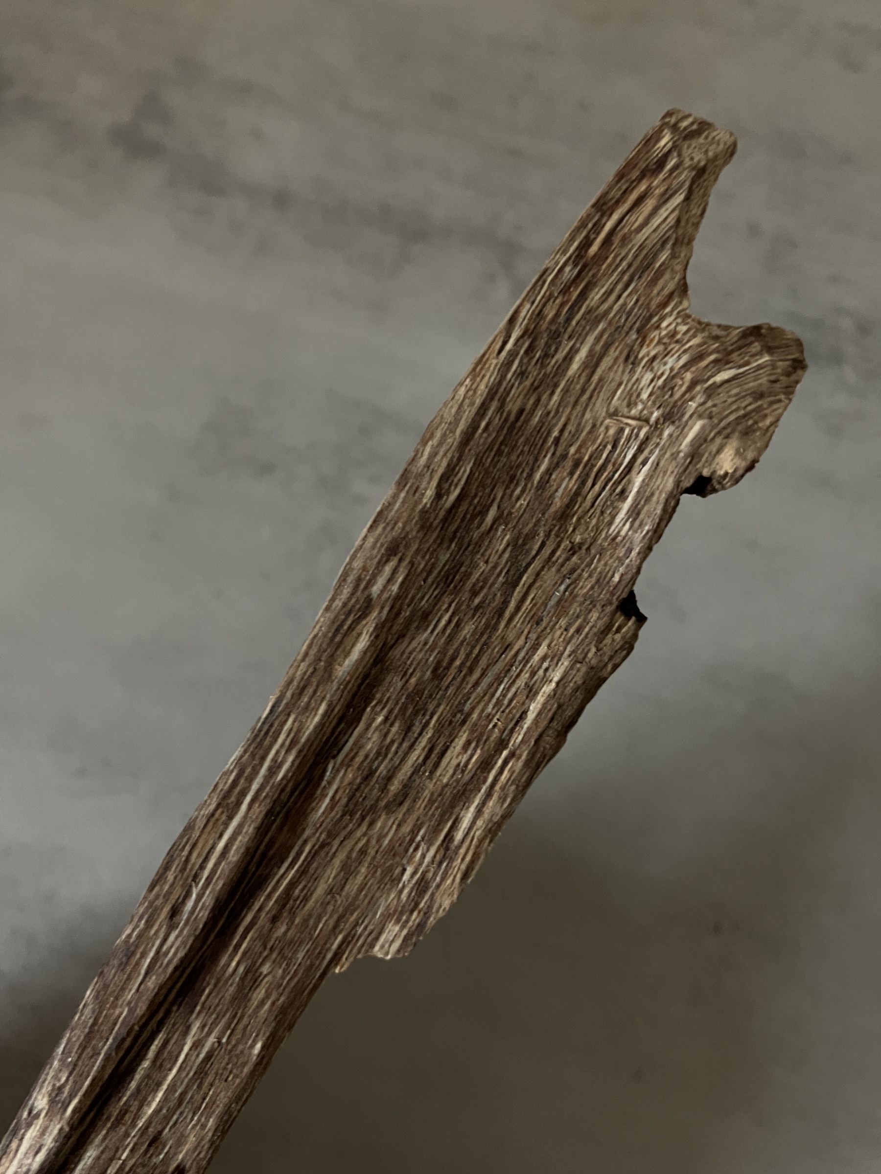 image_CED8872C-7E40-409A-863B-B2BB88CF9753_1761031124