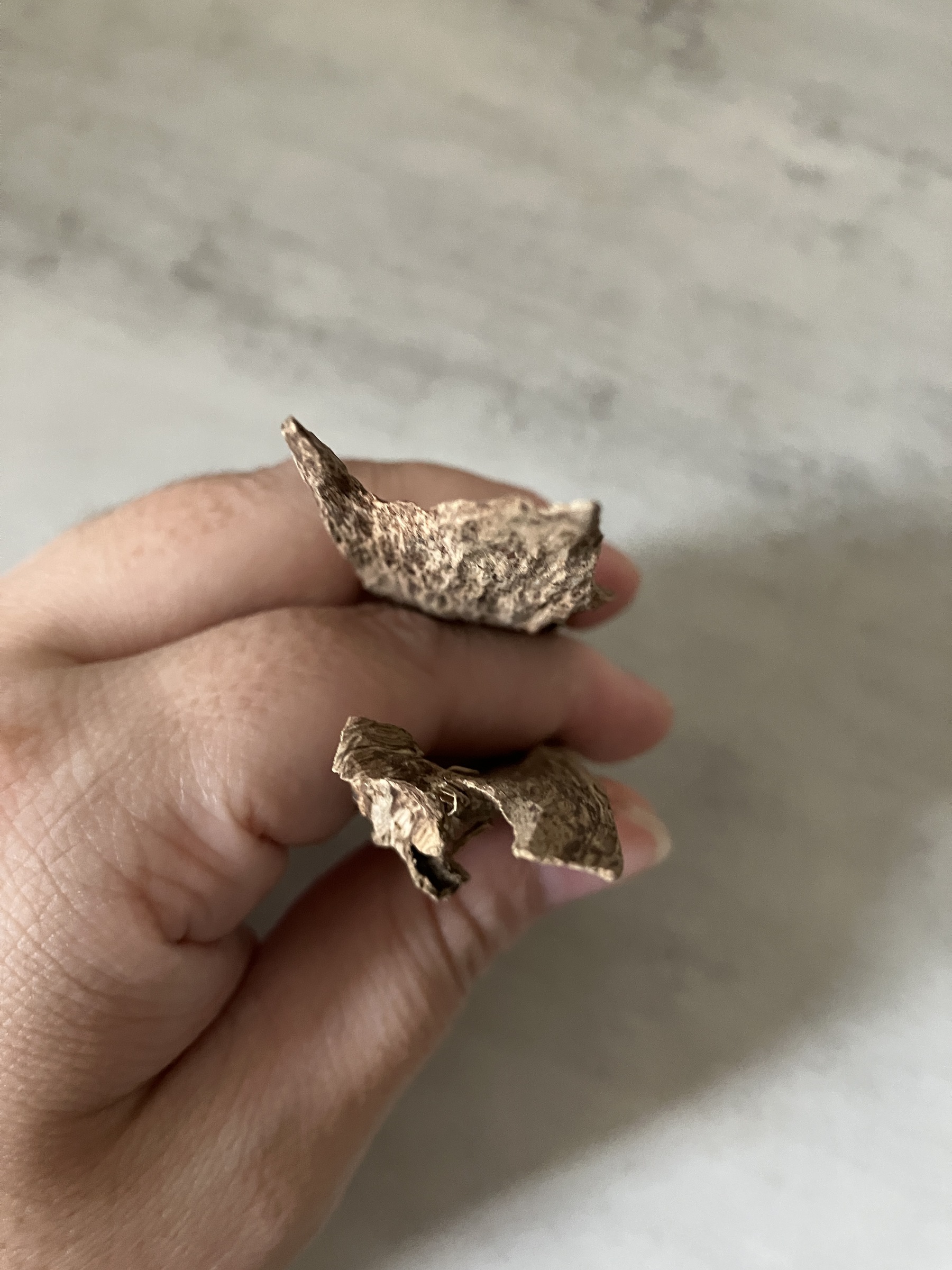 image_93A5FAC1-EAB1-42ED-BB99-9488D3B95895_1761031124