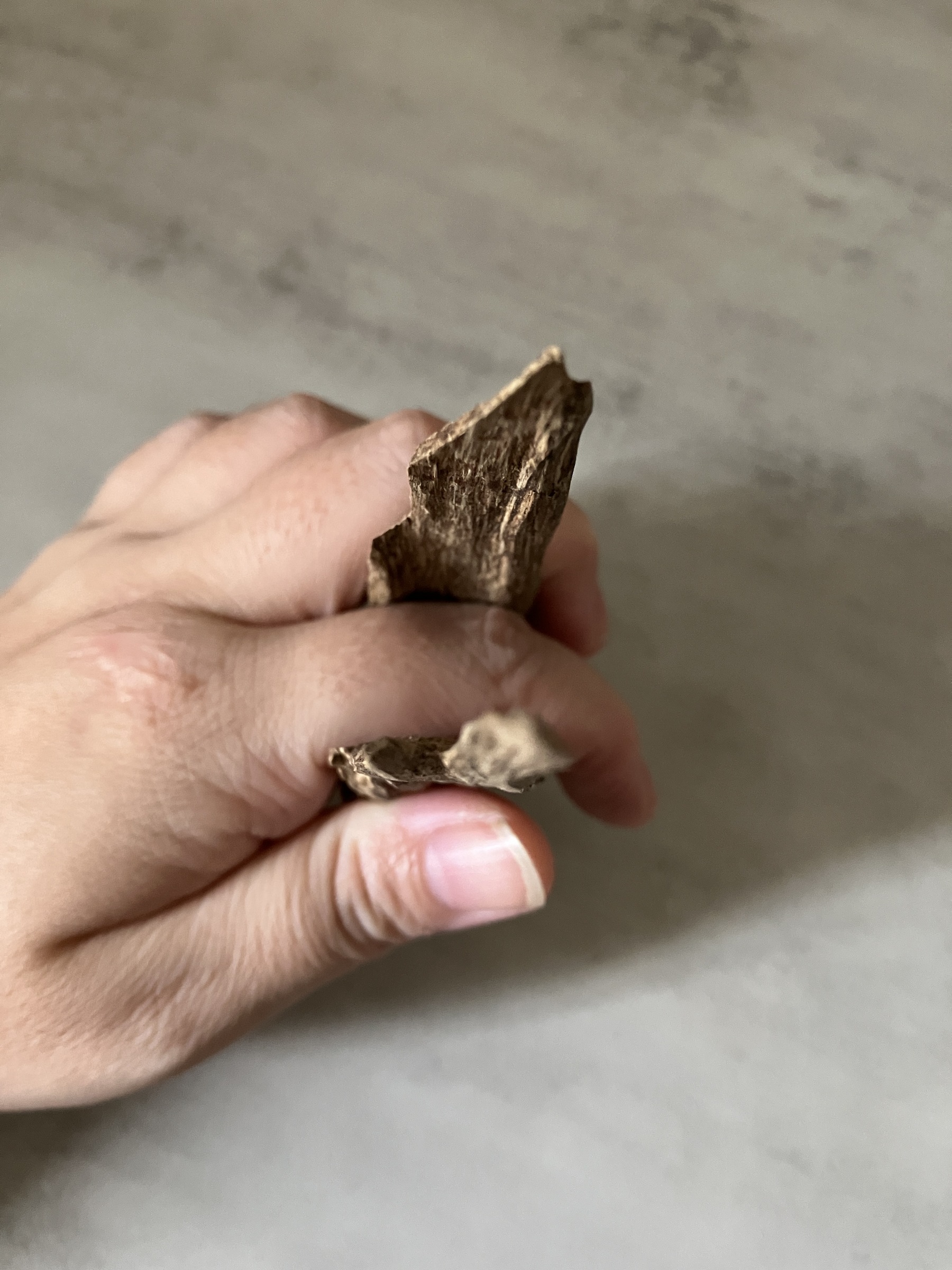 image_AE1C7D78-BE80-45D1-A2A2-1FE0DCB46587_1761031124