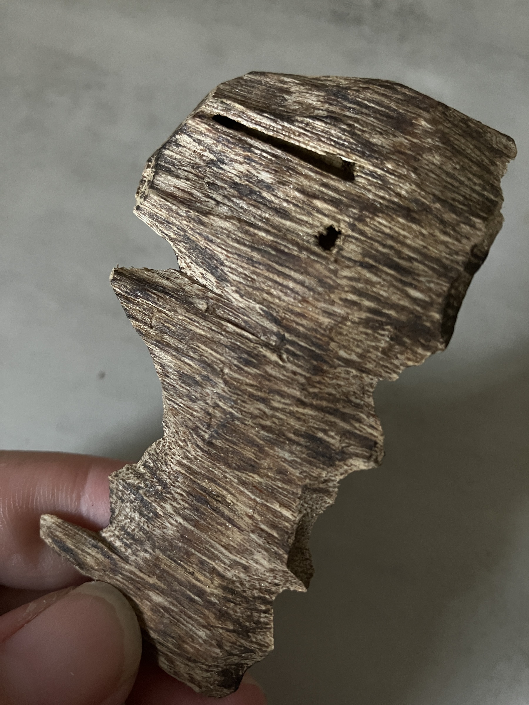 image_32809B11-5E86-4BFE-941A-E61B8E08AA81_1761031228