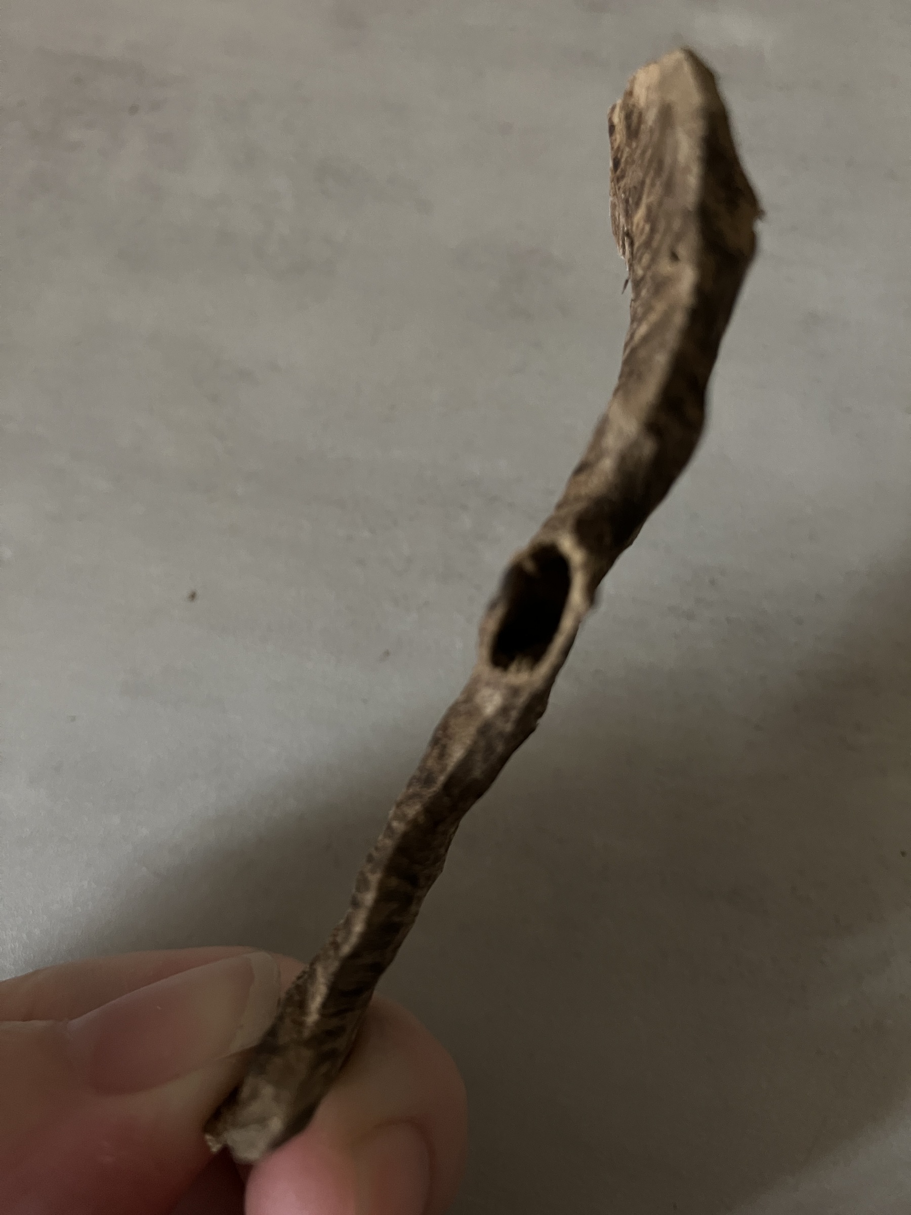 image_B21394E6-ED9A-483C-B7B0-38E9F3ED97DB_1761031228