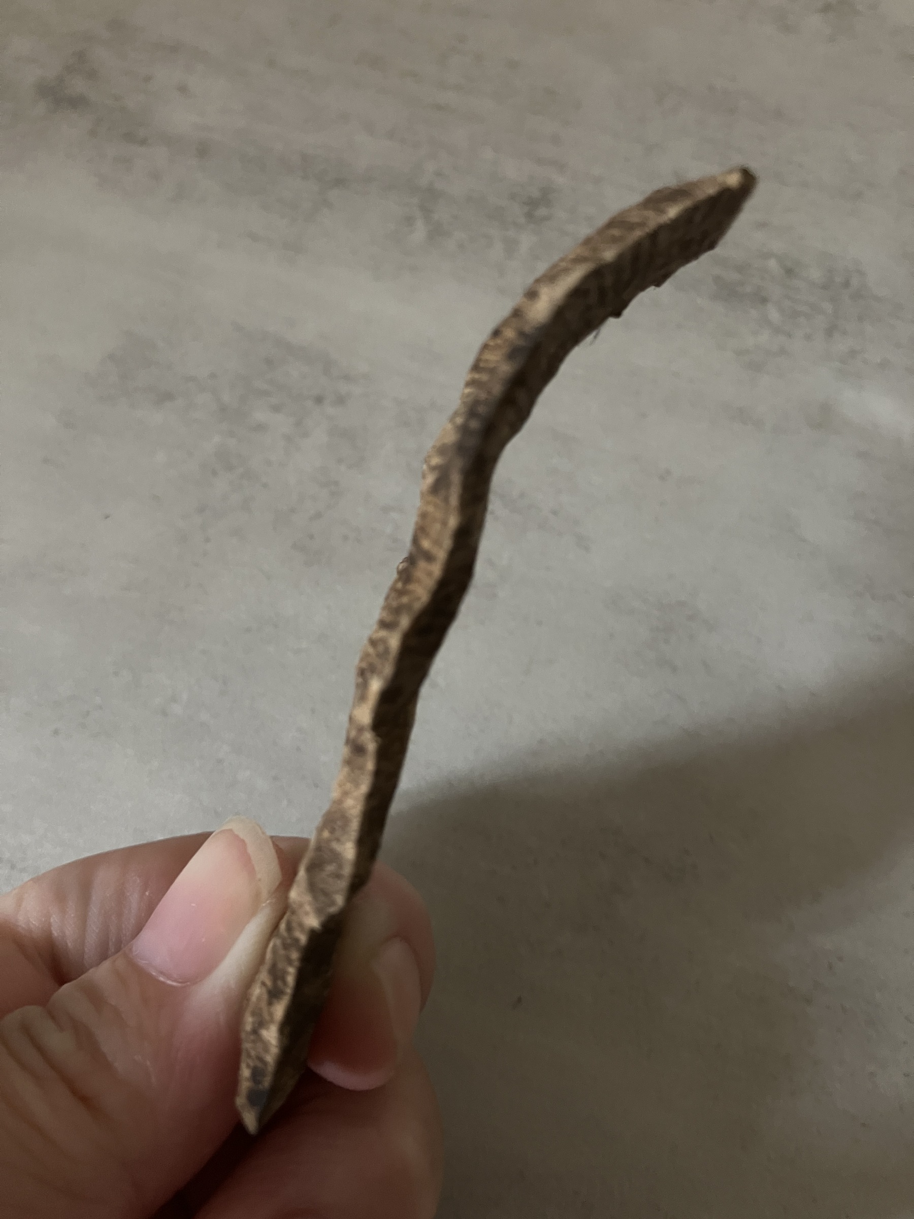 image_E73F980E-8FEC-40F7-B4B2-FA06F7192BBA_1761031228