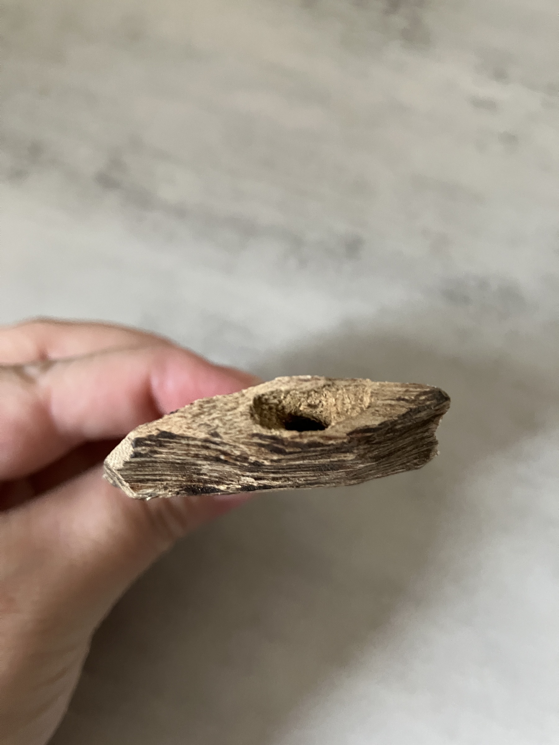 image_D3A45D73-5054-4794-B522-DF306B4840D3_1761031228