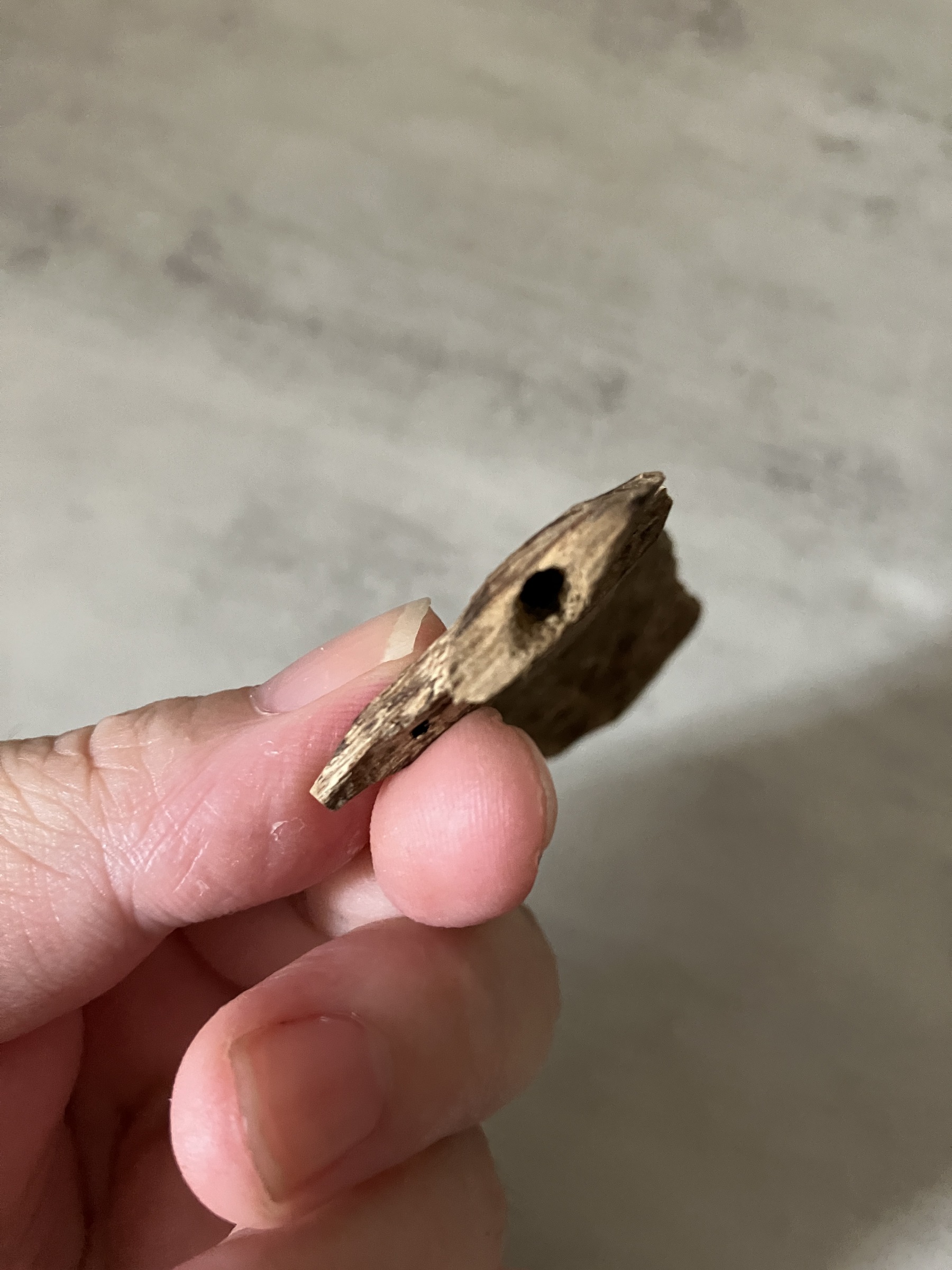 image_7FF1F103-3ED8-4AD2-A41B-32BC62A404DD_1761031228