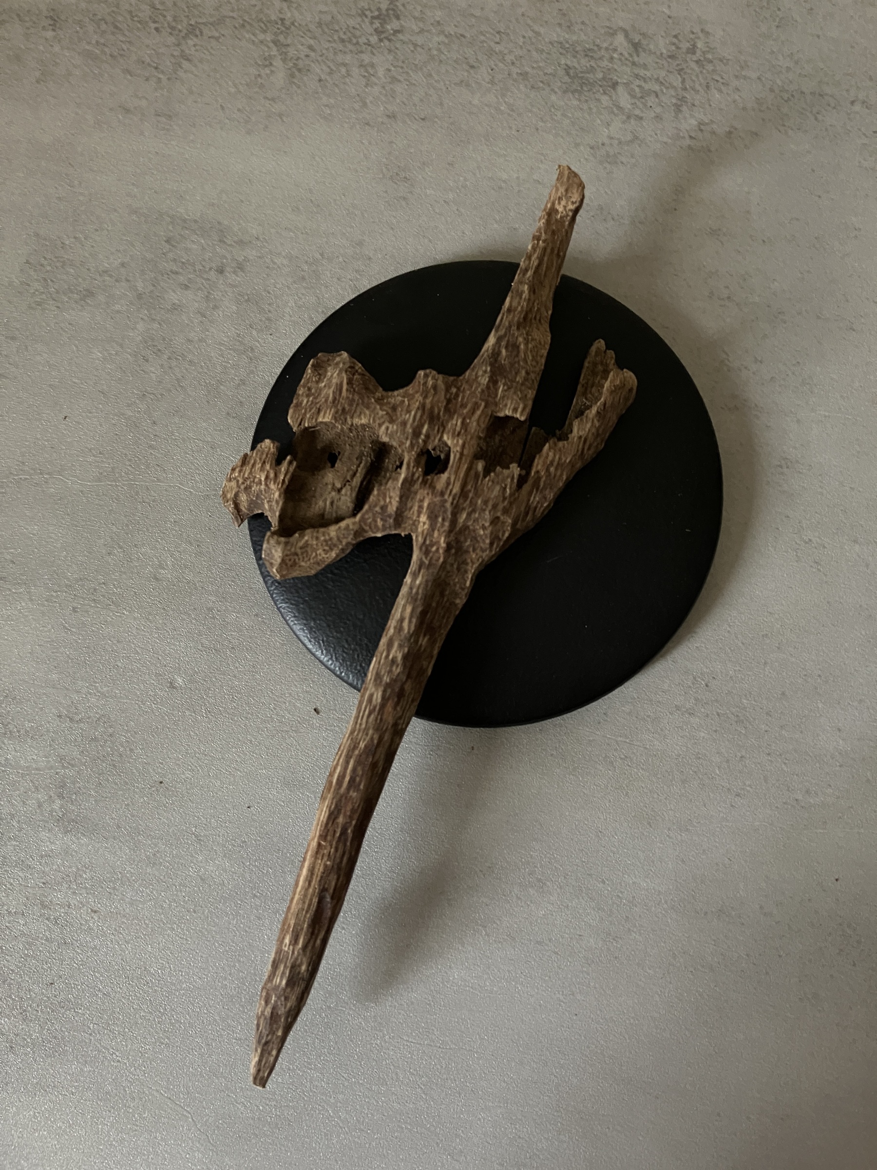 image_EAE89566-9CA4-4A66-B073-1A1D6EAE4B80_1761031317