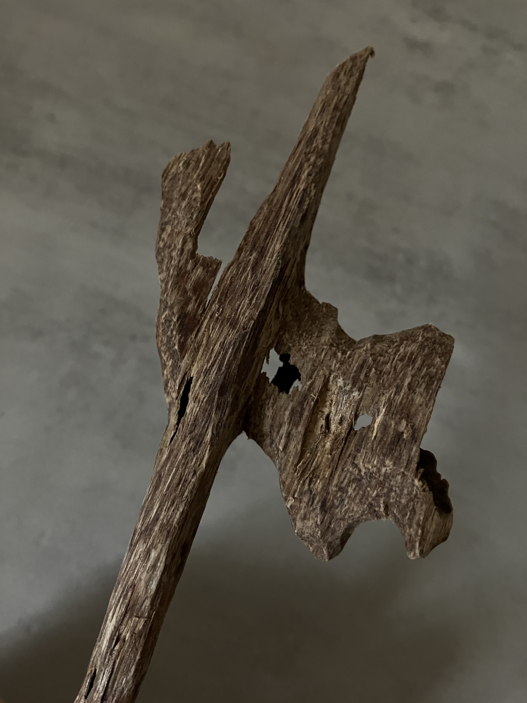 image_5913E025-A40D-4321-A59E-3ED3BD5C0521_1761031317