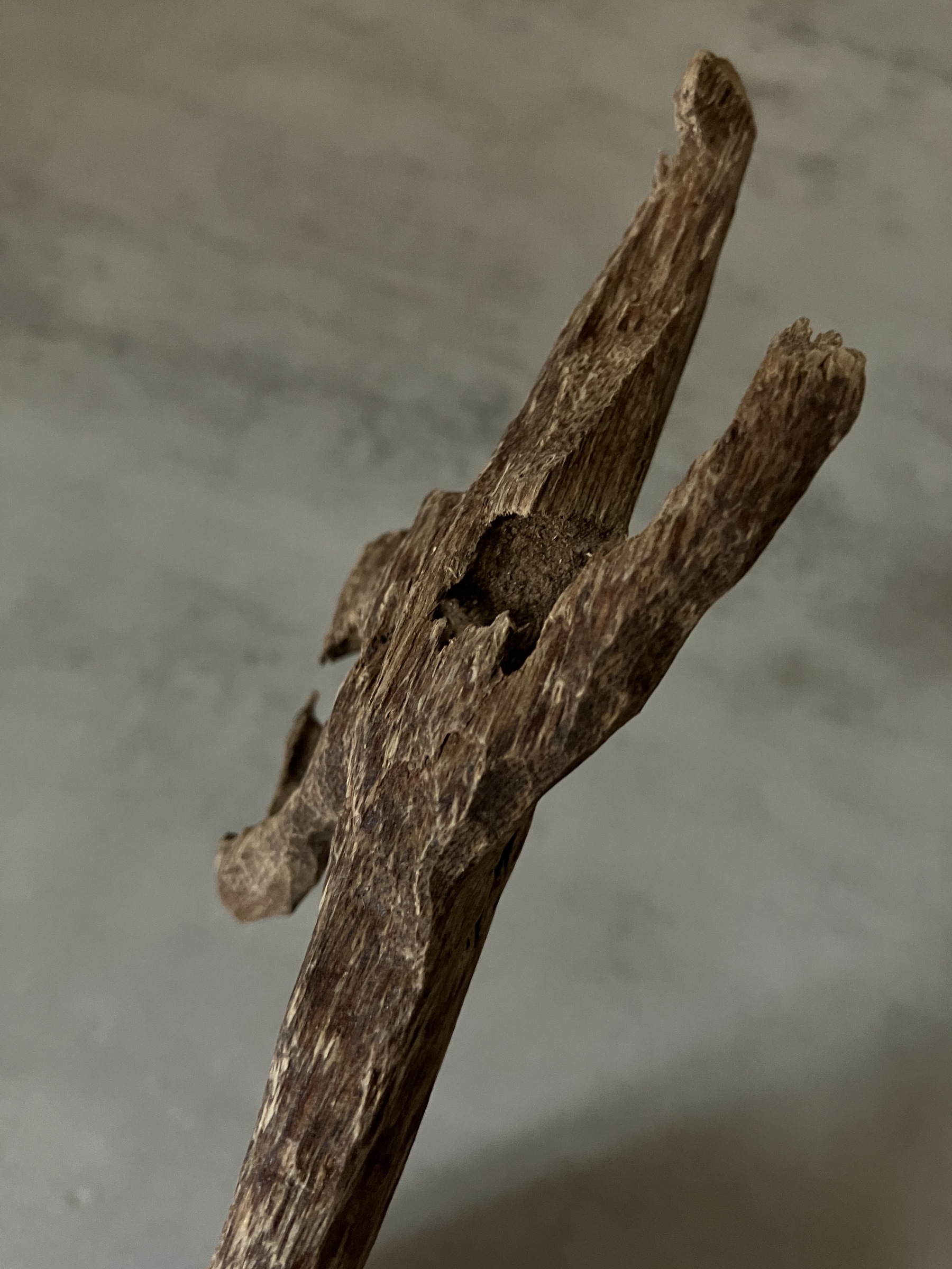 image_EFDD89A2-CE08-4384-839E-7BB67C6D487D_1761031317