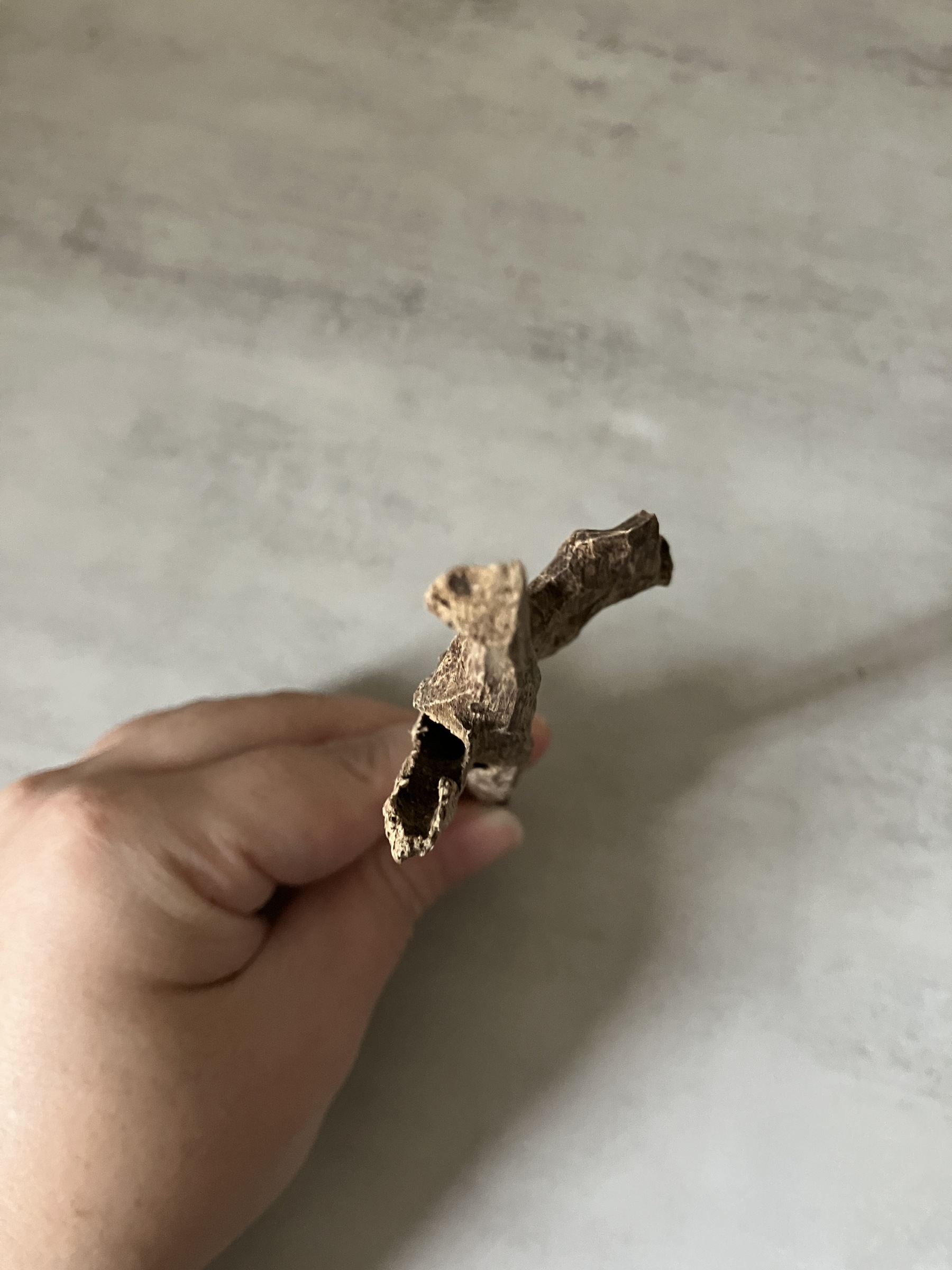 image_FDA88B11-438B-44BE-AB27-F87D5894963F_1761031317