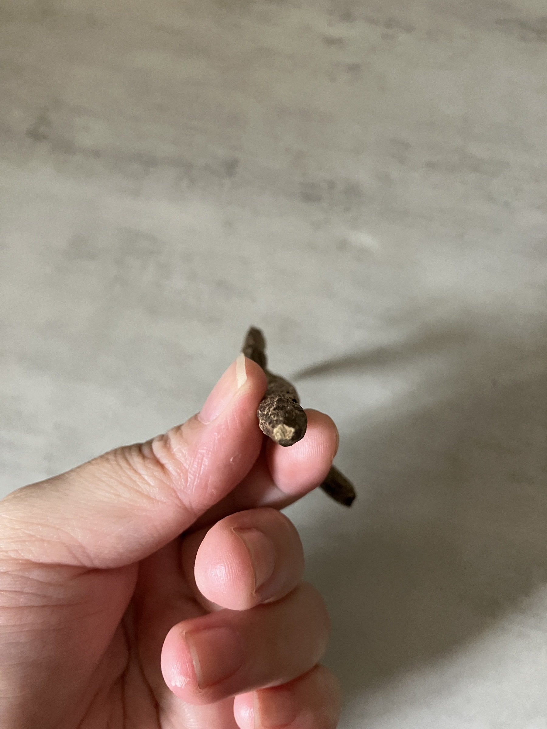 image_0DA5C329-3C04-421C-8FF4-B972AE02BD12_1761031317