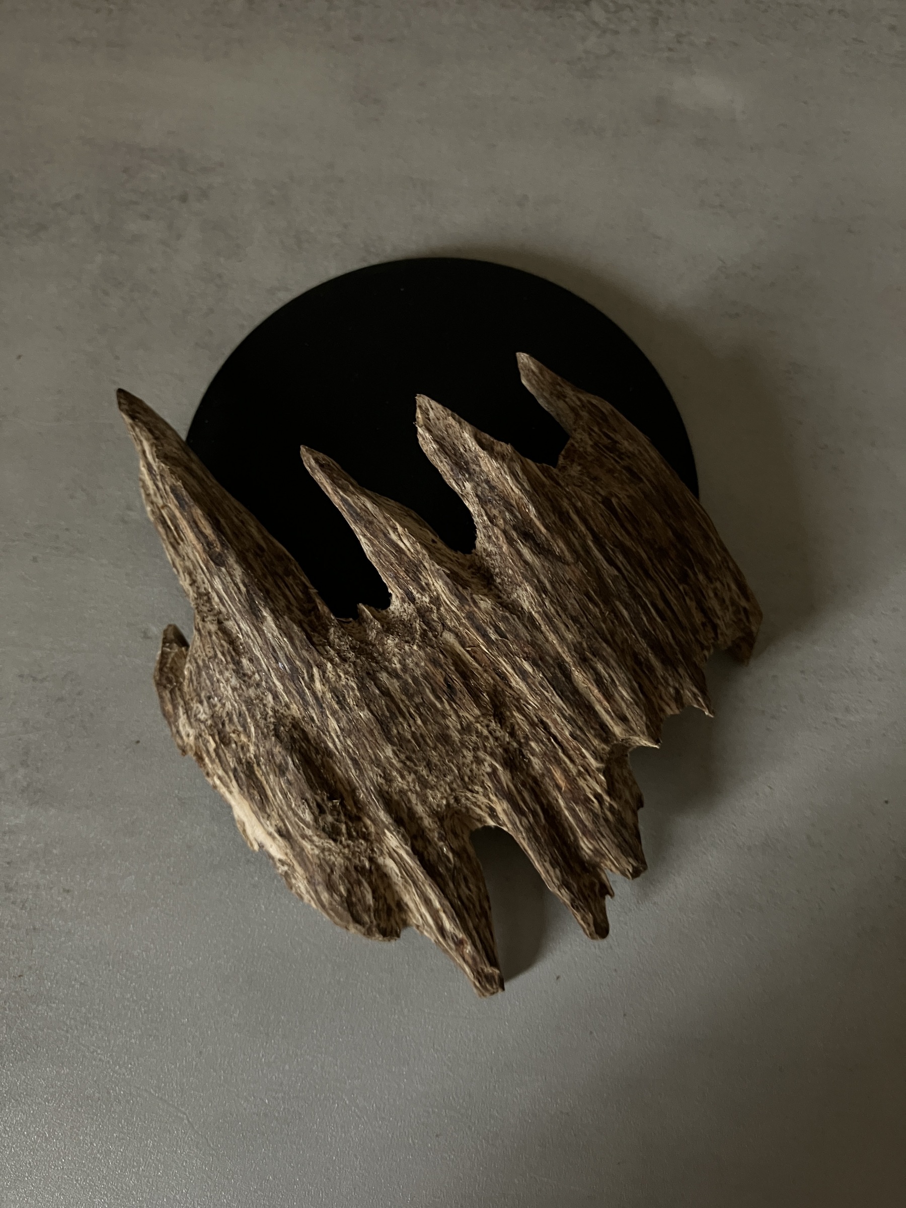 image_83E8E04D-C957-4A55-8E63-76C84FBA6DB6_1761031408