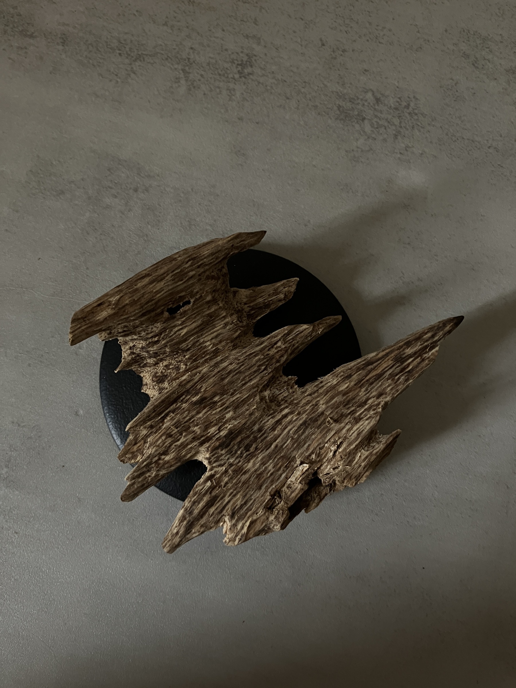 image_A5FC2F78-B34C-4B14-B98E-2E4BABFC6824_1761031408