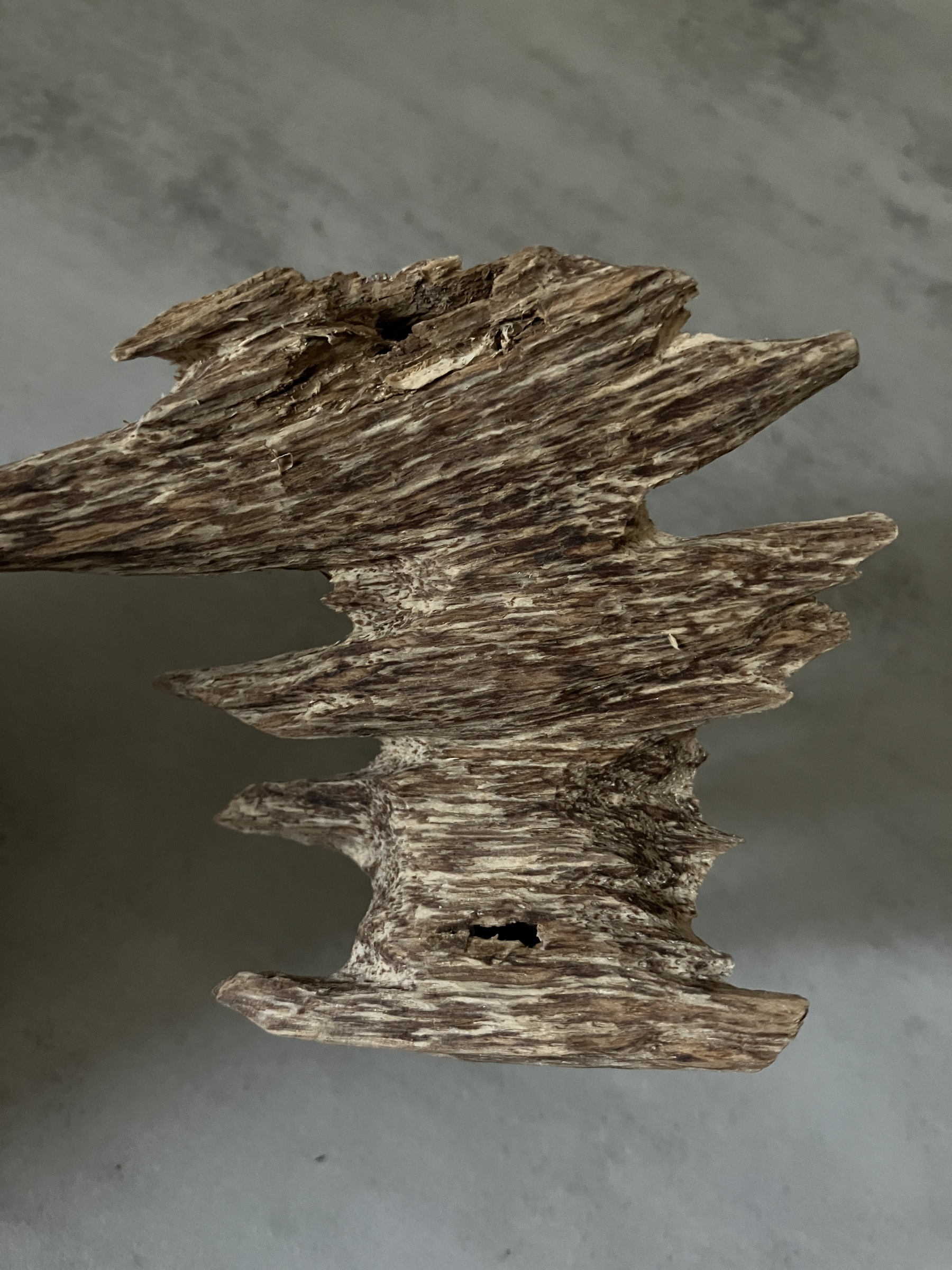 image_87147BF9-3690-4429-96B1-E7414D43472F_1761031408