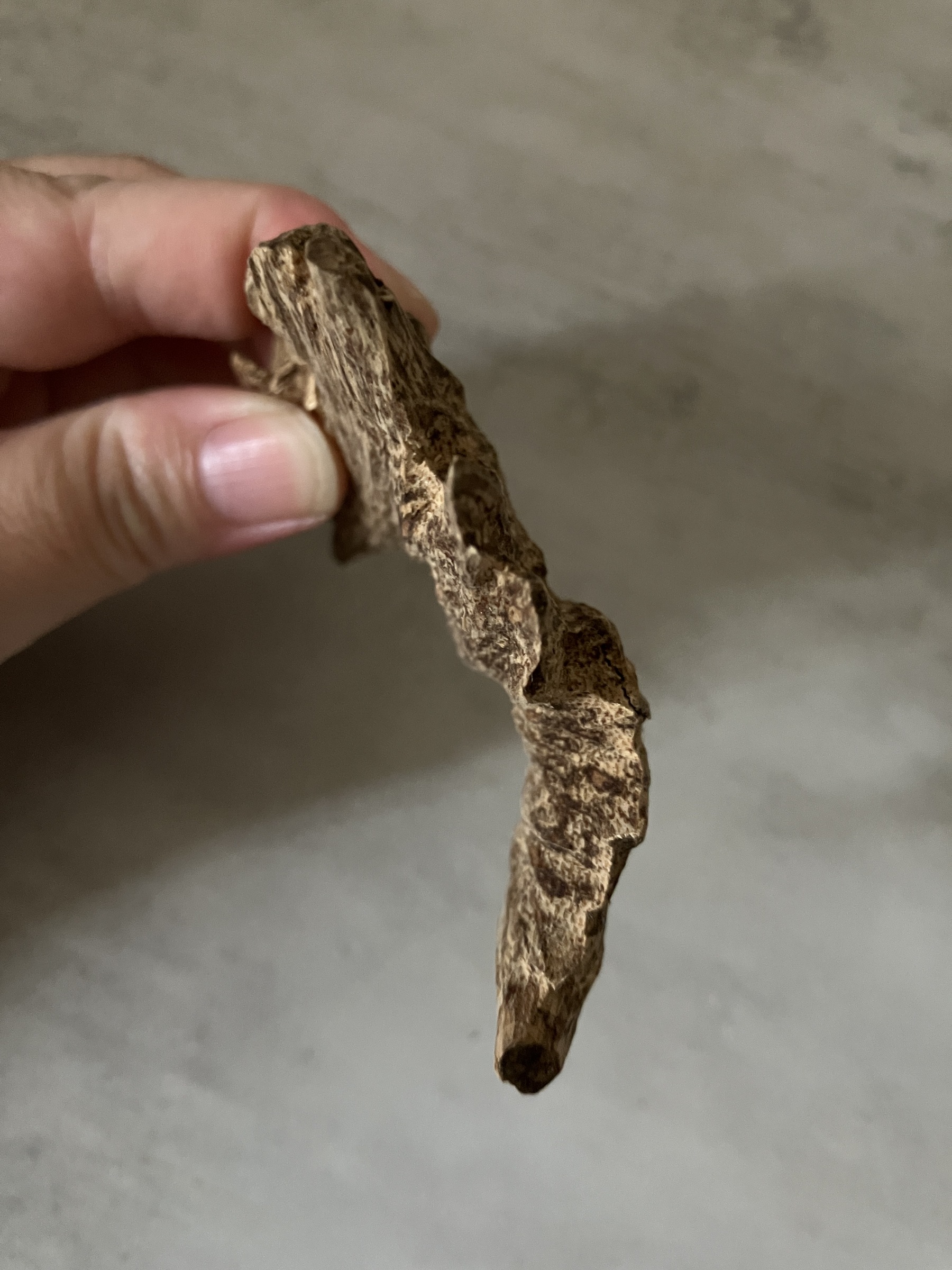 image_0B5E80F0-E21B-469D-9FDD-B0E8310EA552_1761031408