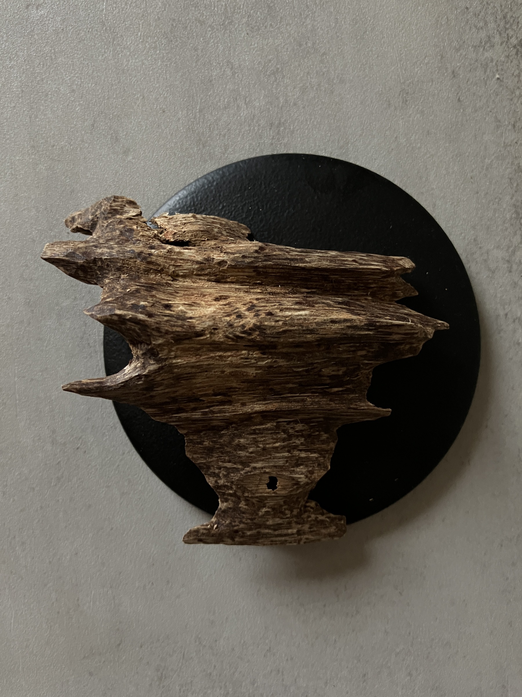 image_96EABE03-4807-4828-A941-A84BA10490E8_1761117123