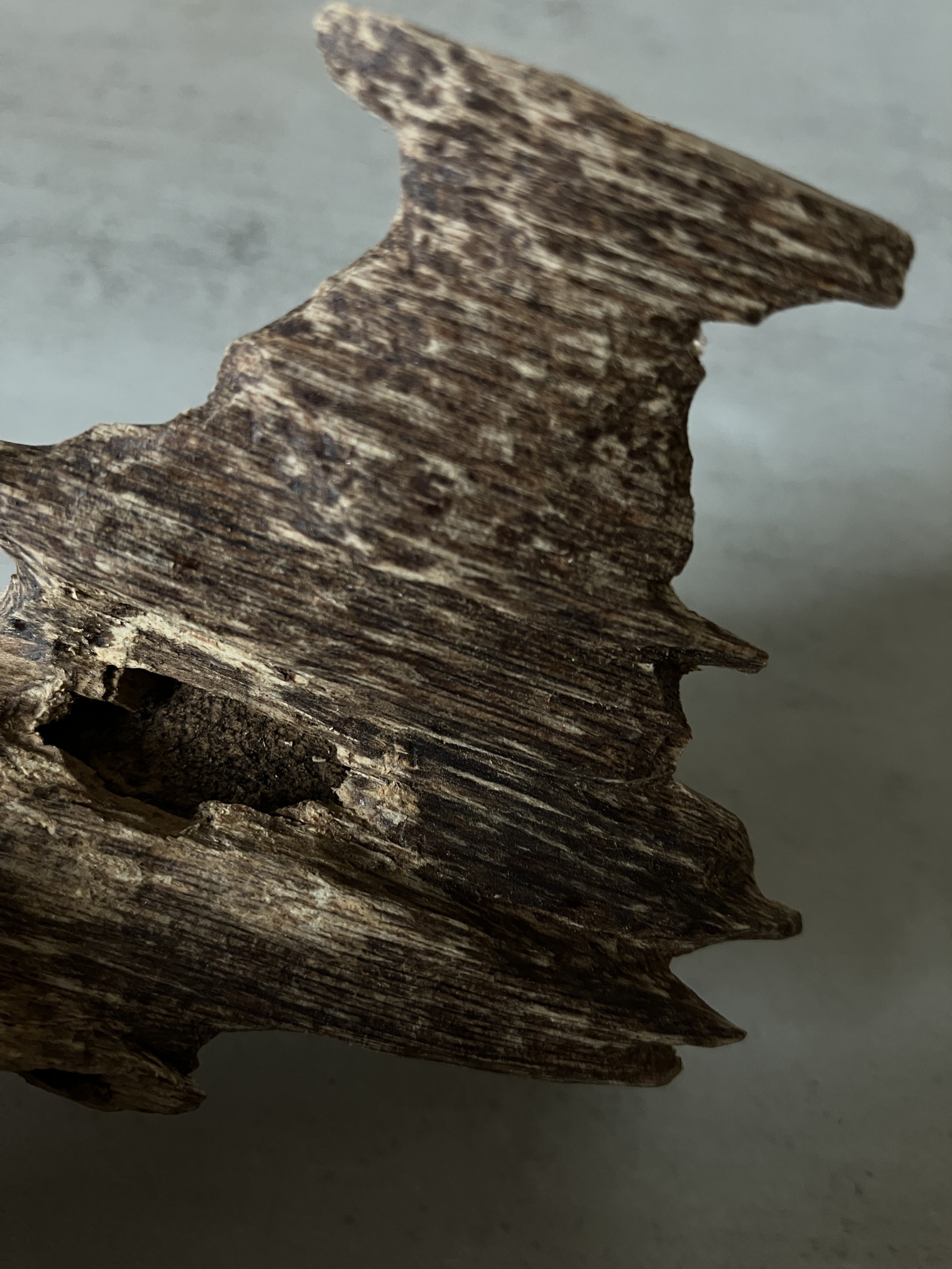 image_E0EF4D2A-2BA7-4A01-82F8-00F59A1E70CB_1761117123