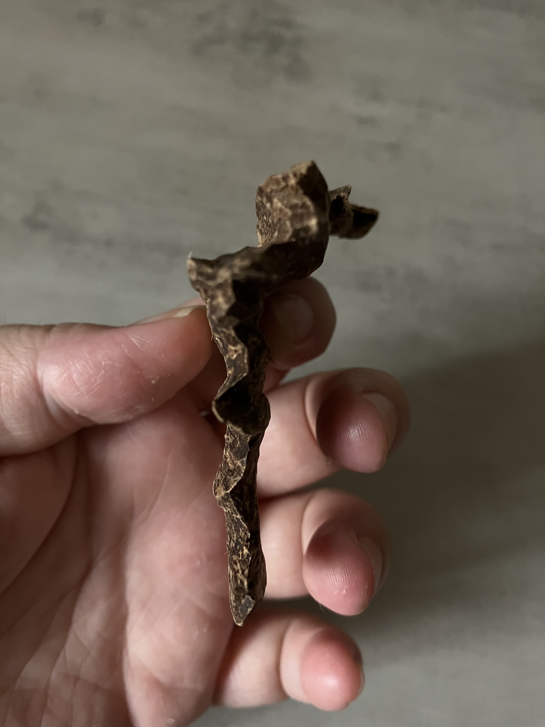 image_7A75DE1F-518D-49E9-A5A3-5BC0AC9FB4FF_1761117123