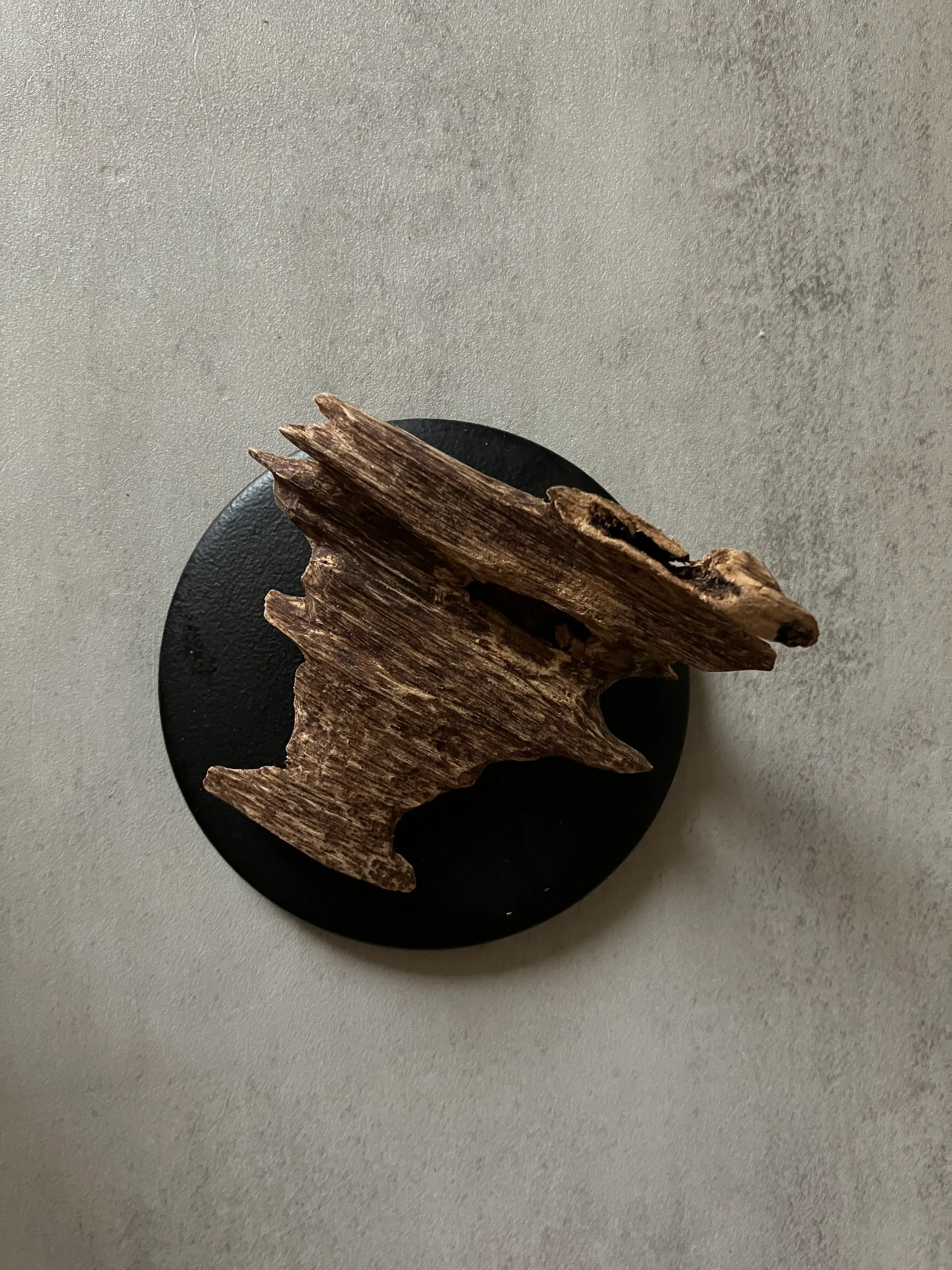 image_2ECD643E-662A-4A2B-B446-67D1D68BECD4_1761117123