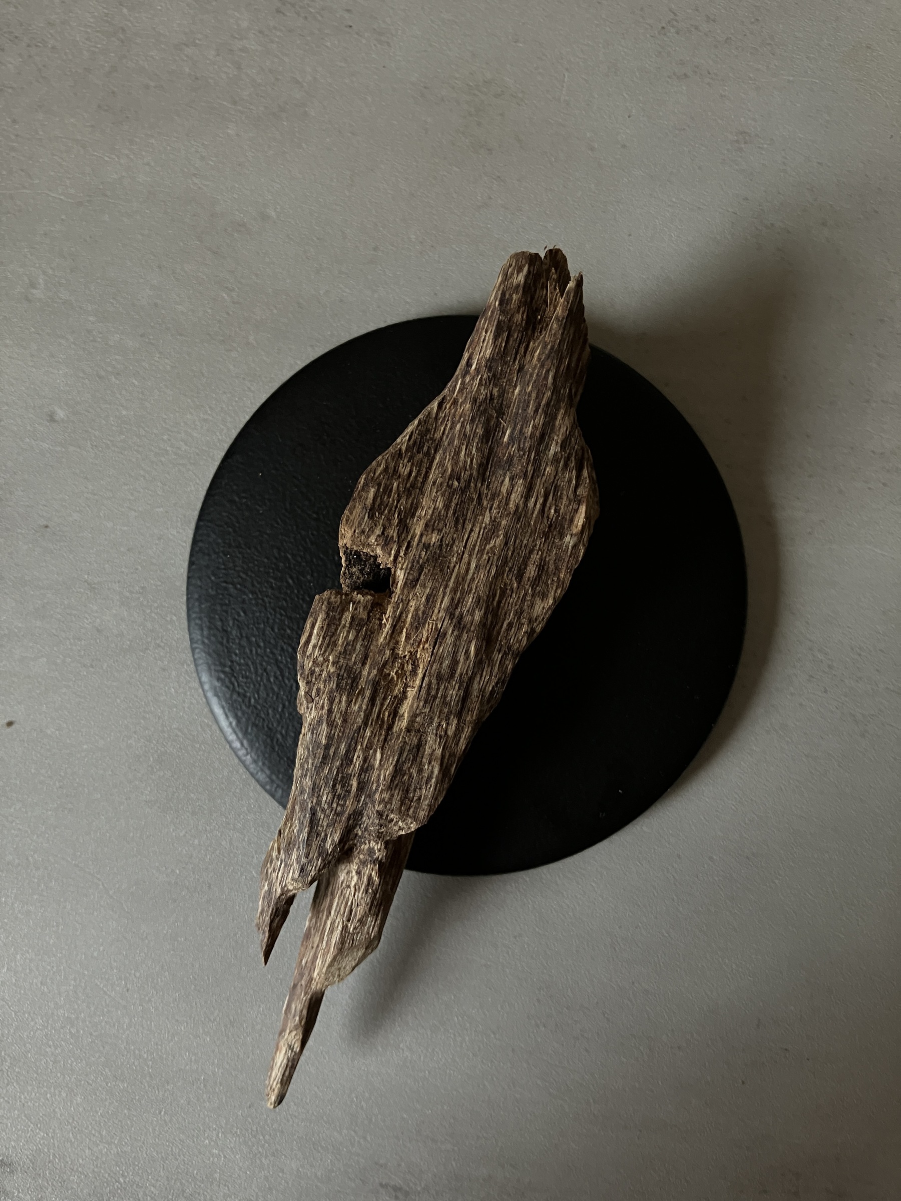 image_02C53178-EB83-4C07-86A4-94CB90491FF3_1761117199