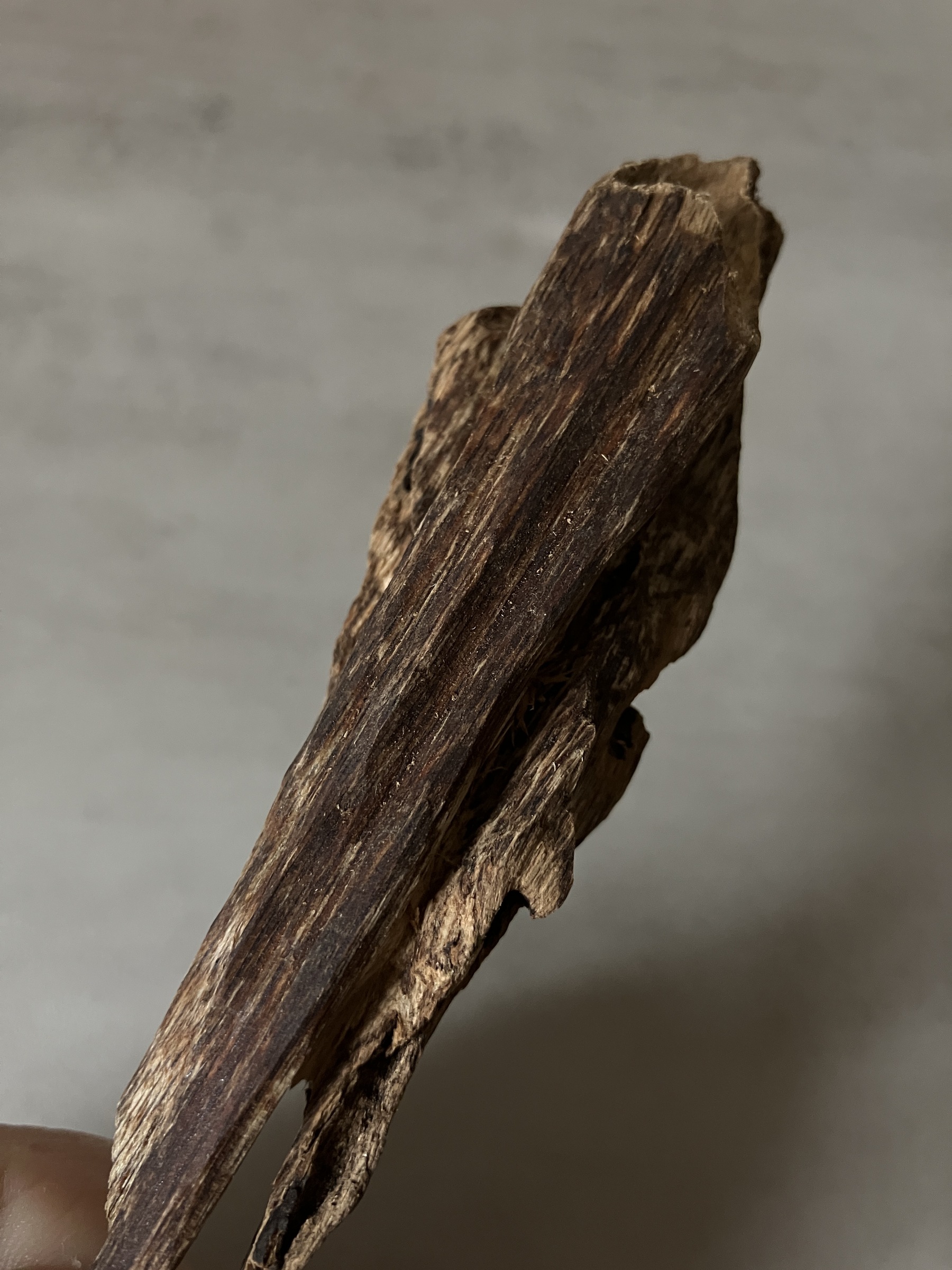 image_C3D934A9-F845-4123-A4B6-F1632488977A_1761117199