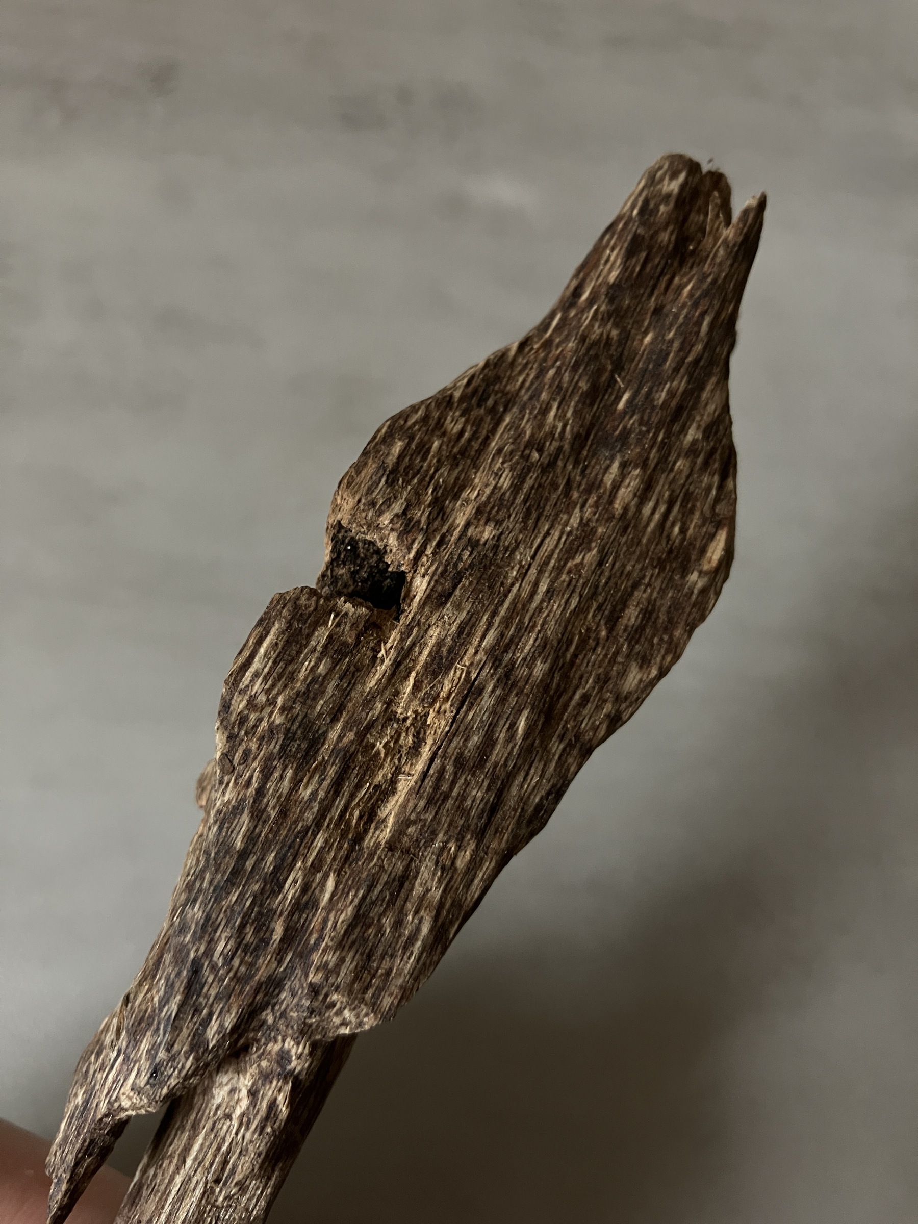 image_1ABD7841-85B6-4DEF-9FB7-A539B2699407_1761117199