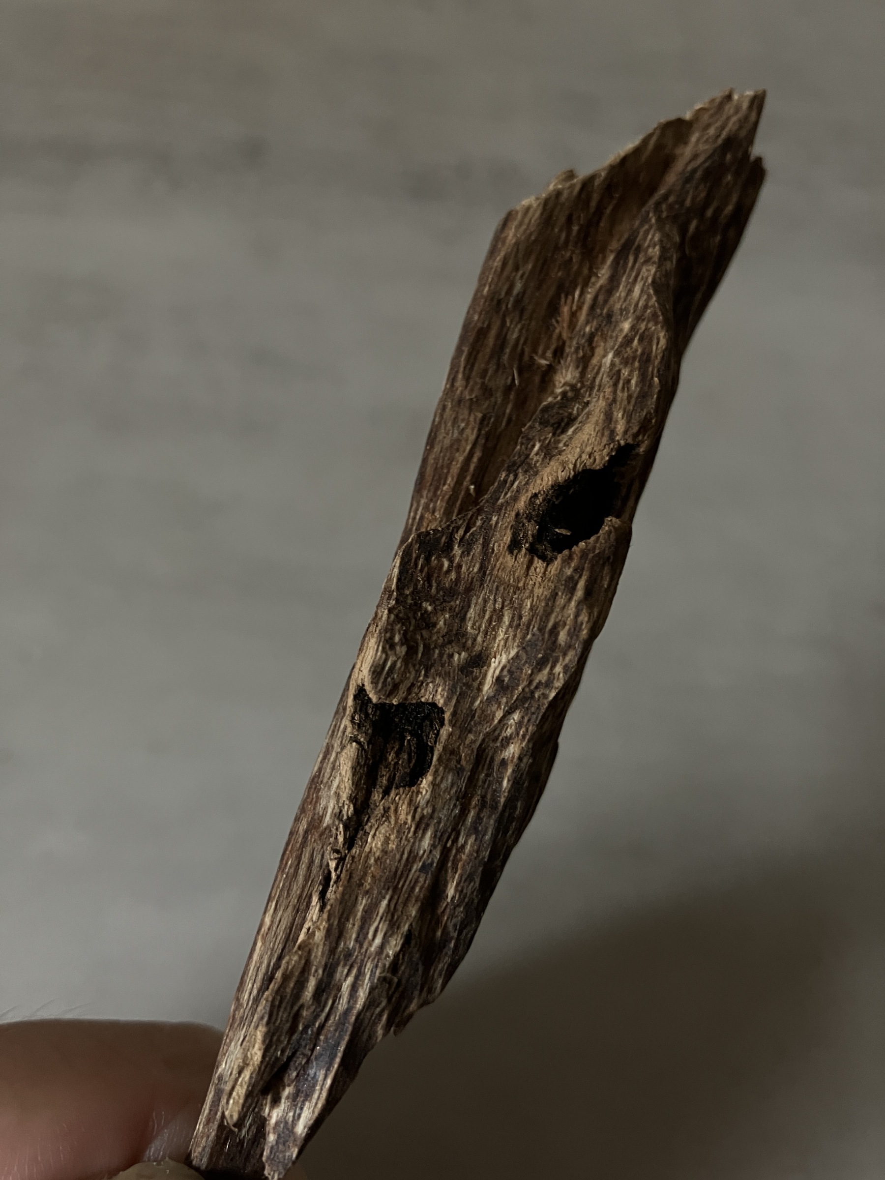 image_46DFFA35-037F-4CBD-AC4D-4549B73870FD_1761117199