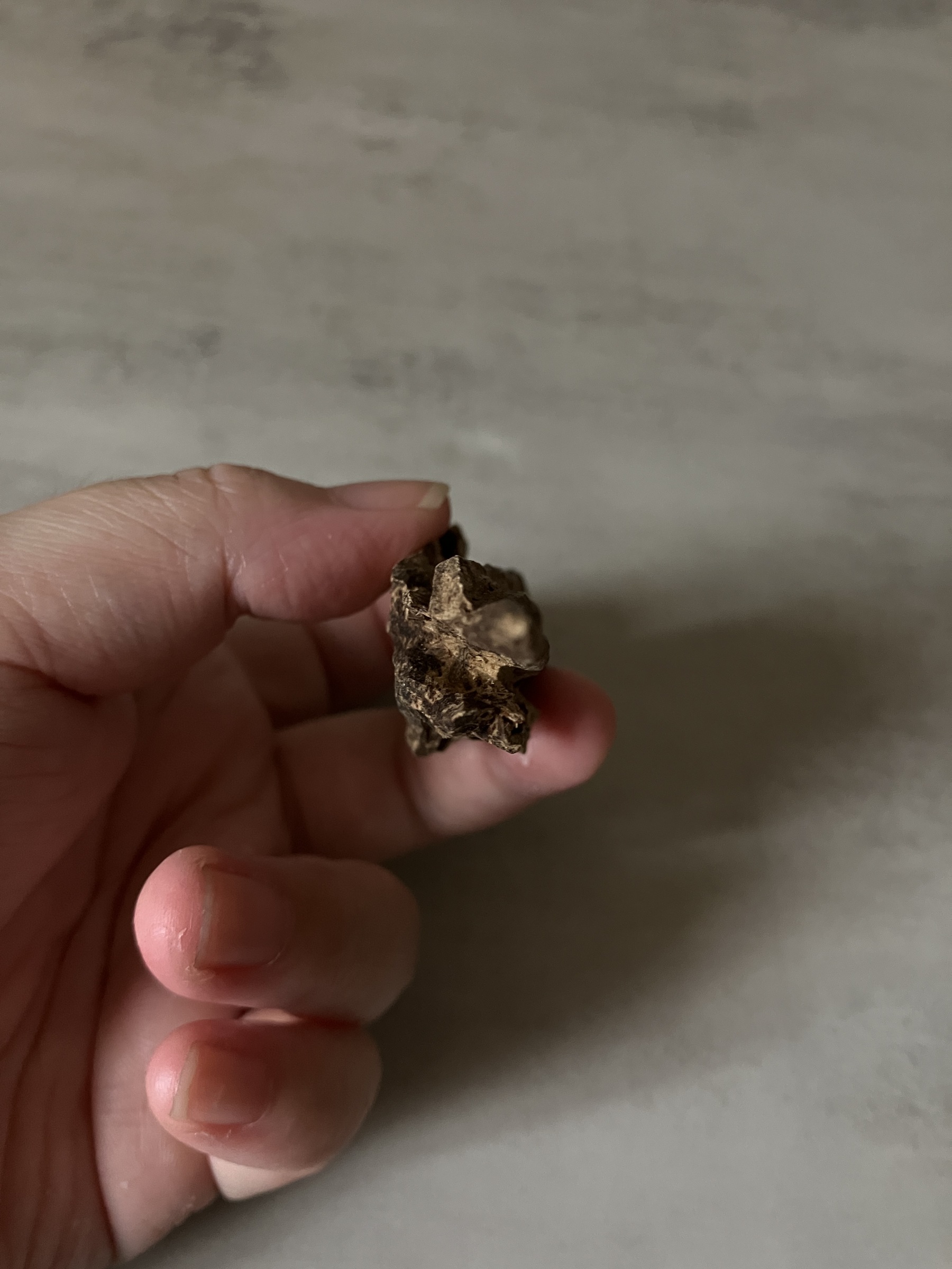 image_11B56D06-5C05-4303-B425-31E5F3FDFBEA_1761117199